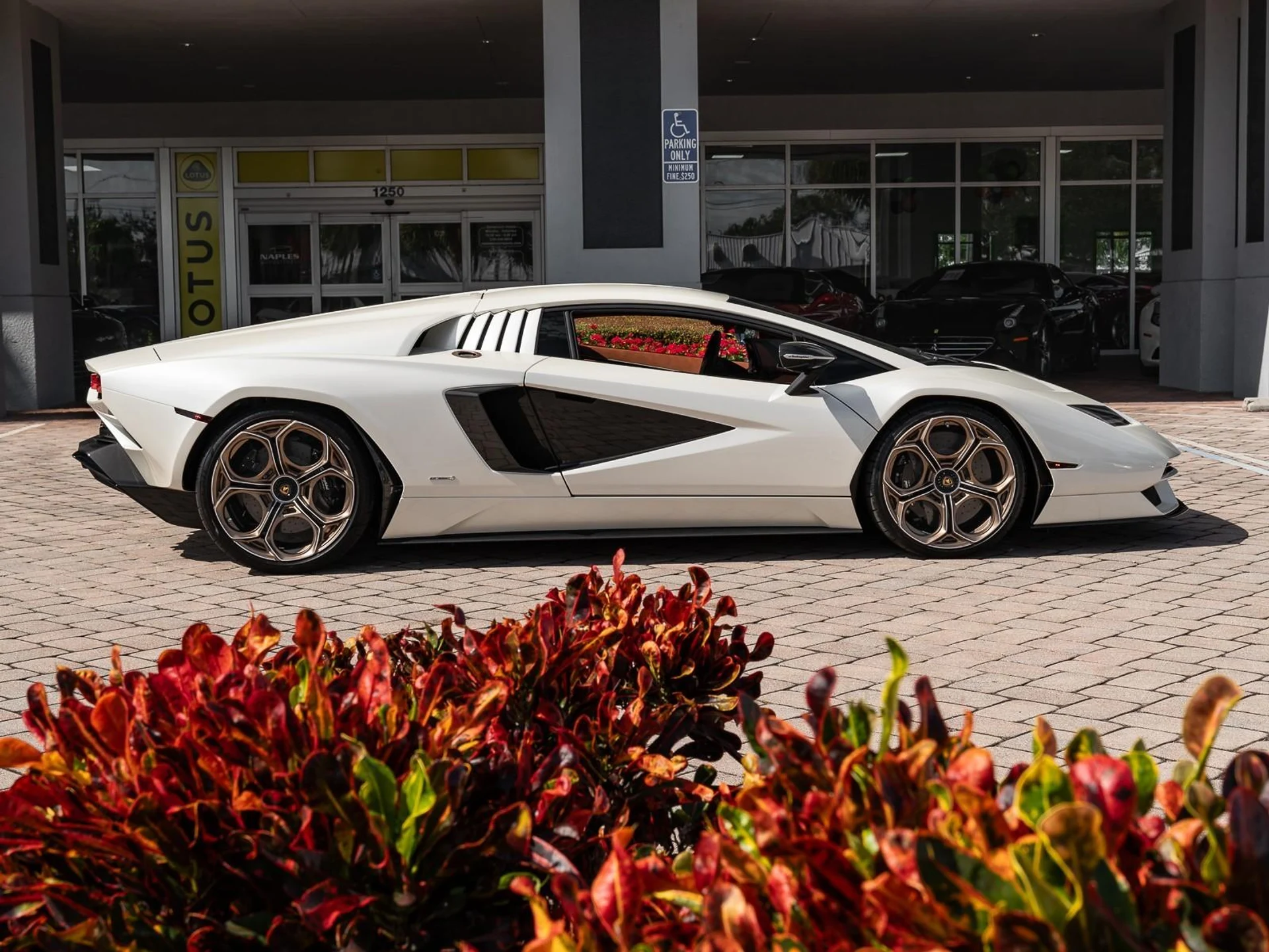 mph021_1658980948_Used_2022_Lamborghini_Countach_1762286776_15974eee25