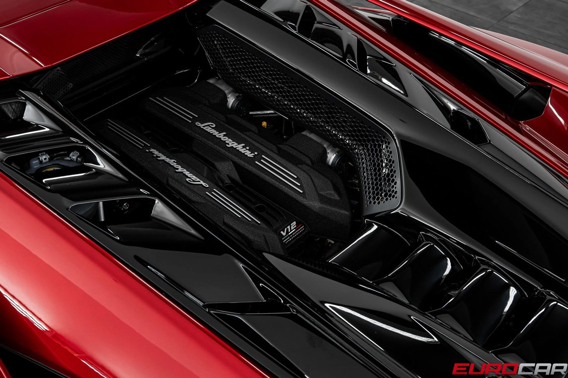 mph021_1761298373_image_22_4f2f77fdd0