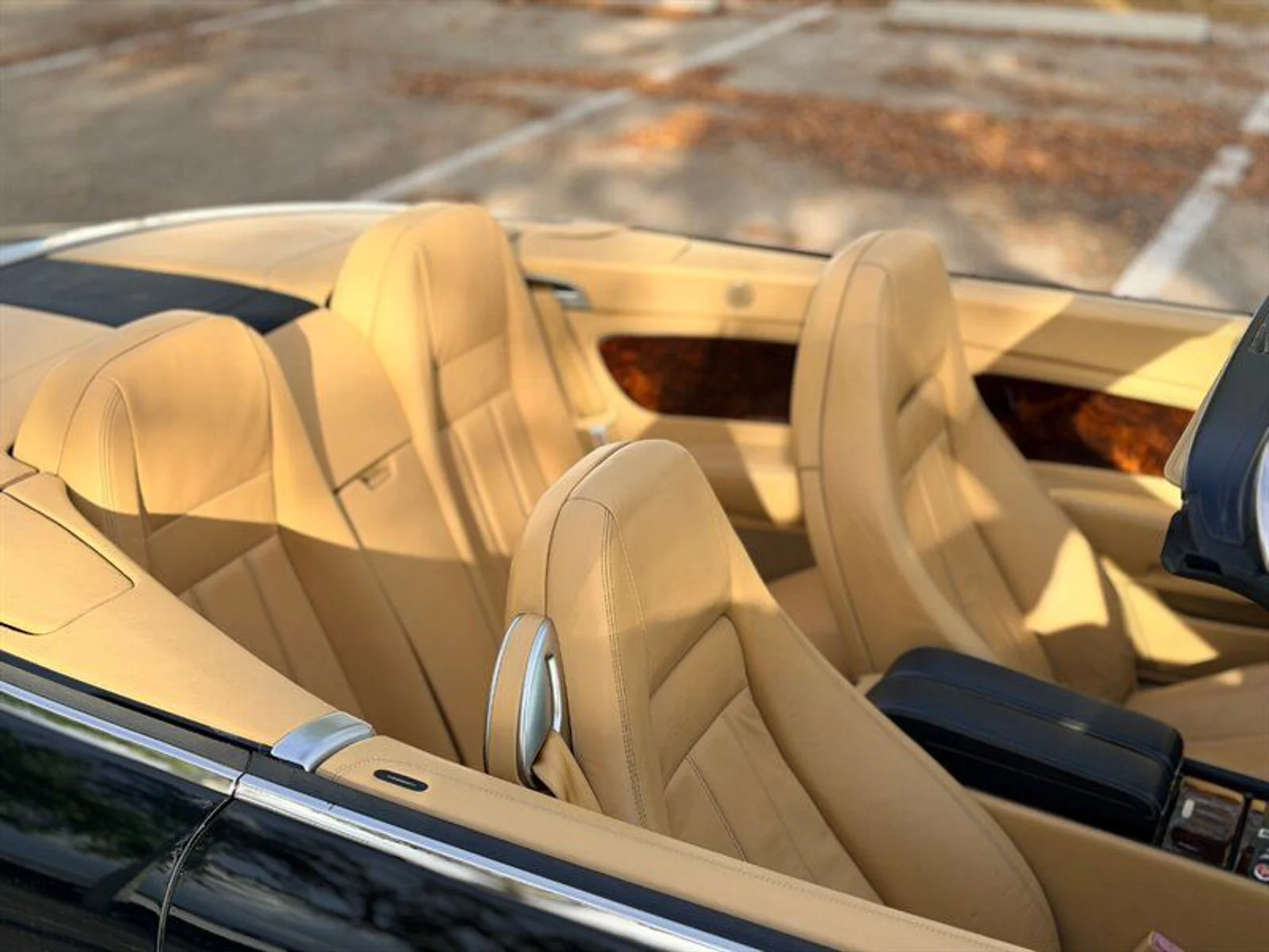 mph021_1772701875_96f76abb90_800_e064021a3c