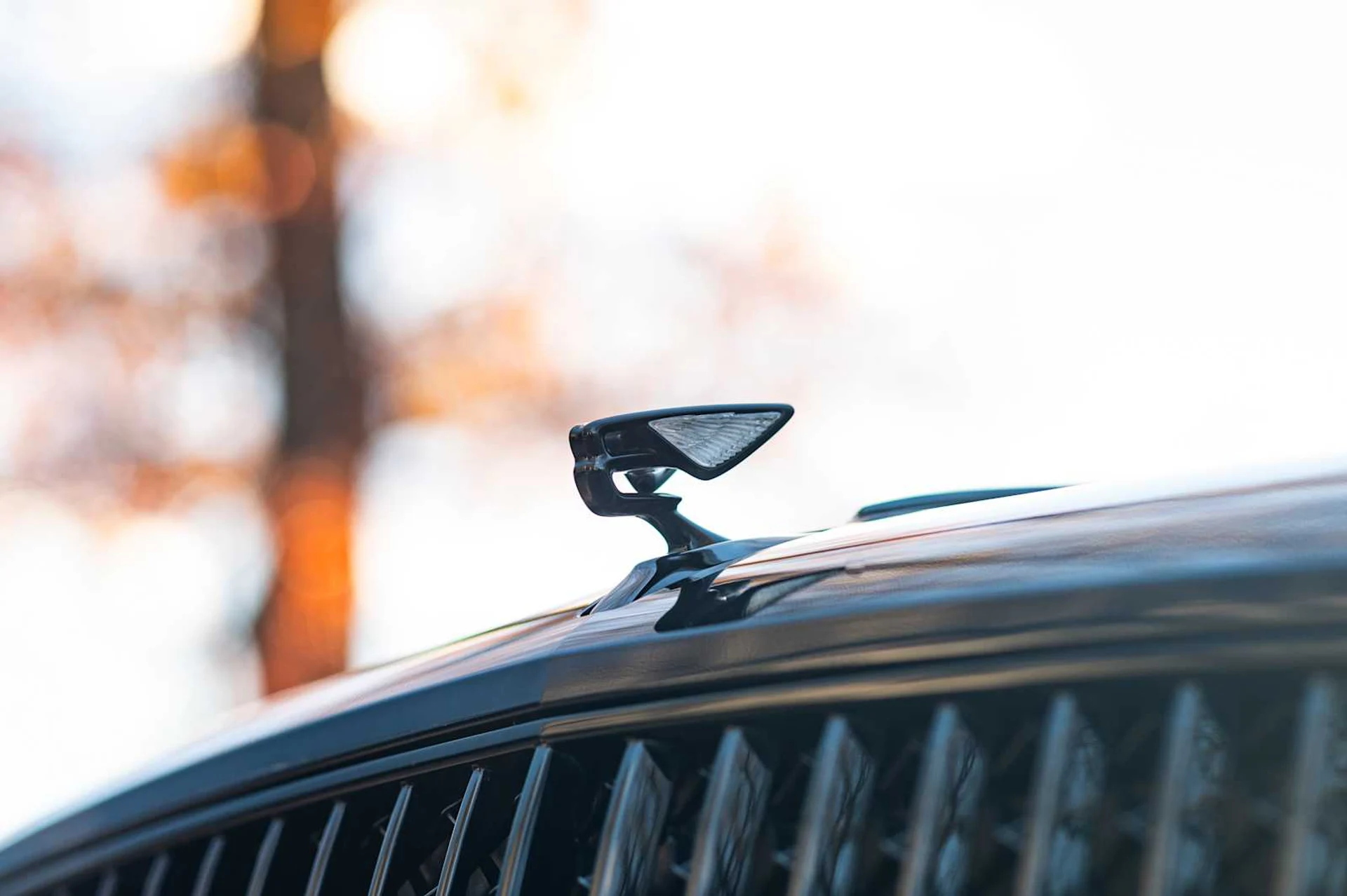 mph021_1798866202_f09ea64ff8b686410a7517afbe168435x_2c4235b1fe