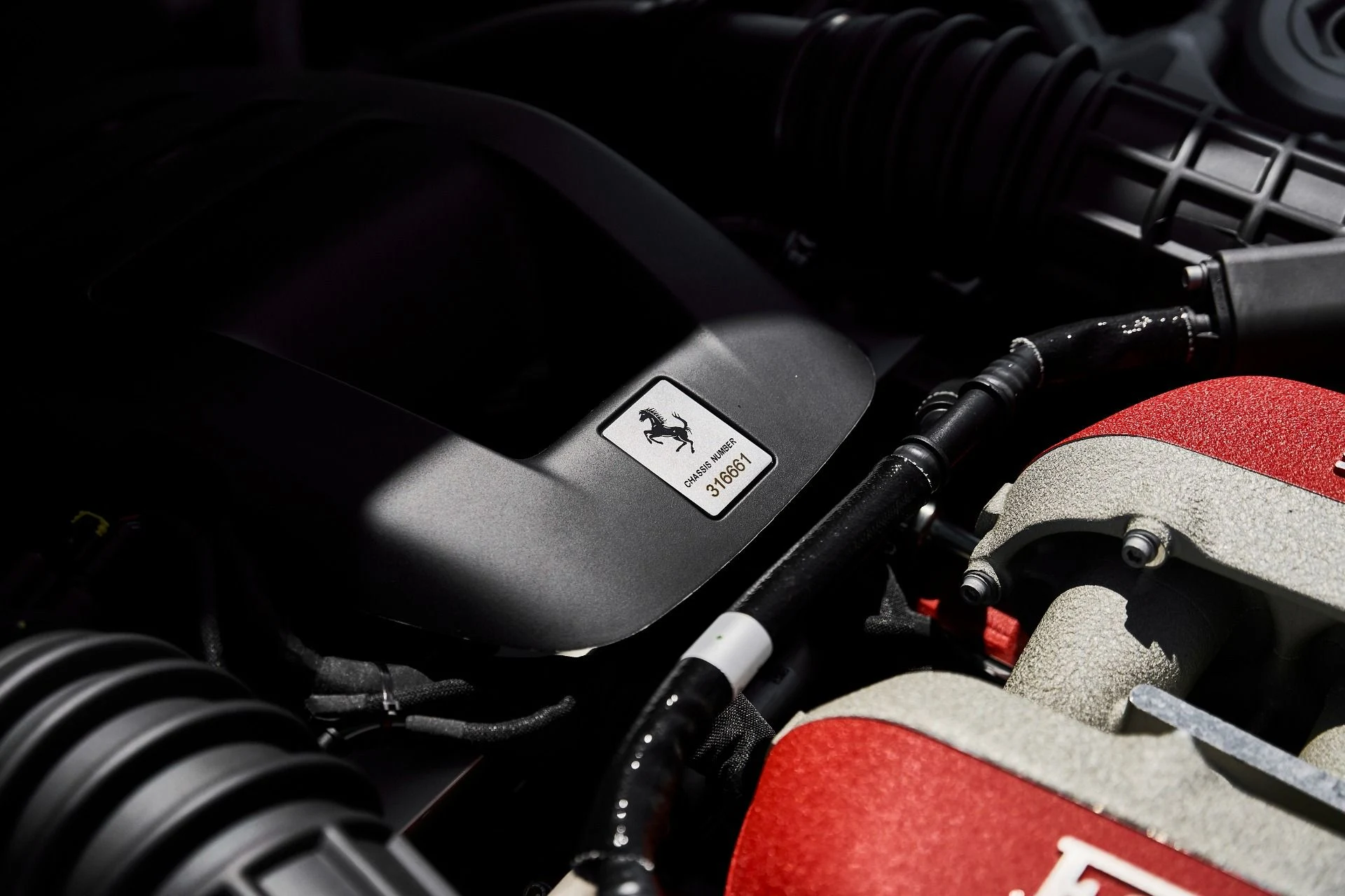 mph021_1800120514_Used_2025_Ferrari_Purosangue_Base_1778708146_c984702532