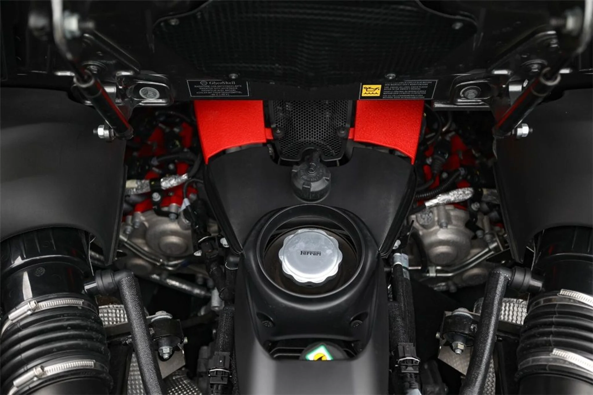 mph021_1987515453_43f93e65f1cebd74b5a0d73b938a31bf_443f440fdc