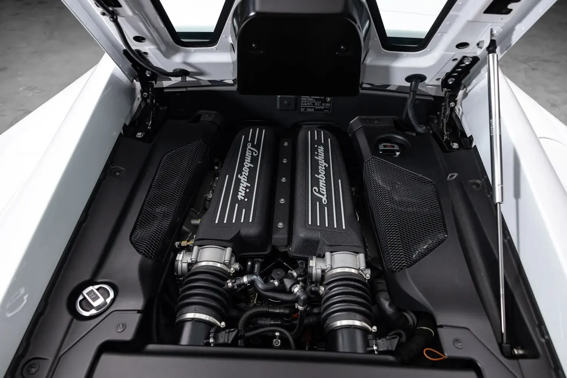 mph021_1988296462_69afa6d8c09e006a303c6337_gallery_image_21_1773119184946_81858b85d0