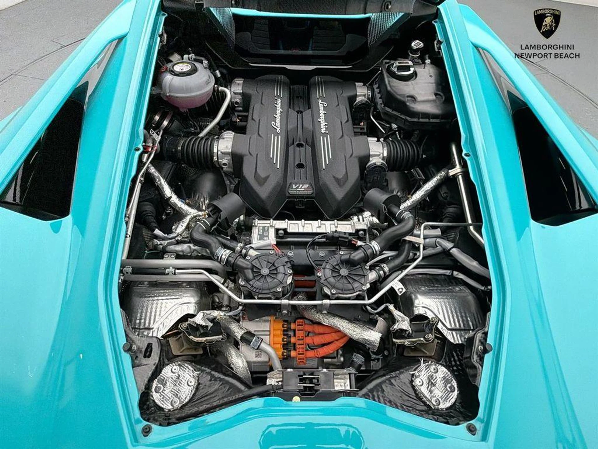 mph021_2019849965_u59q_W_Eg_M_Xwkyu91_EC_Mb1r8ov8_MU_04361fabf6