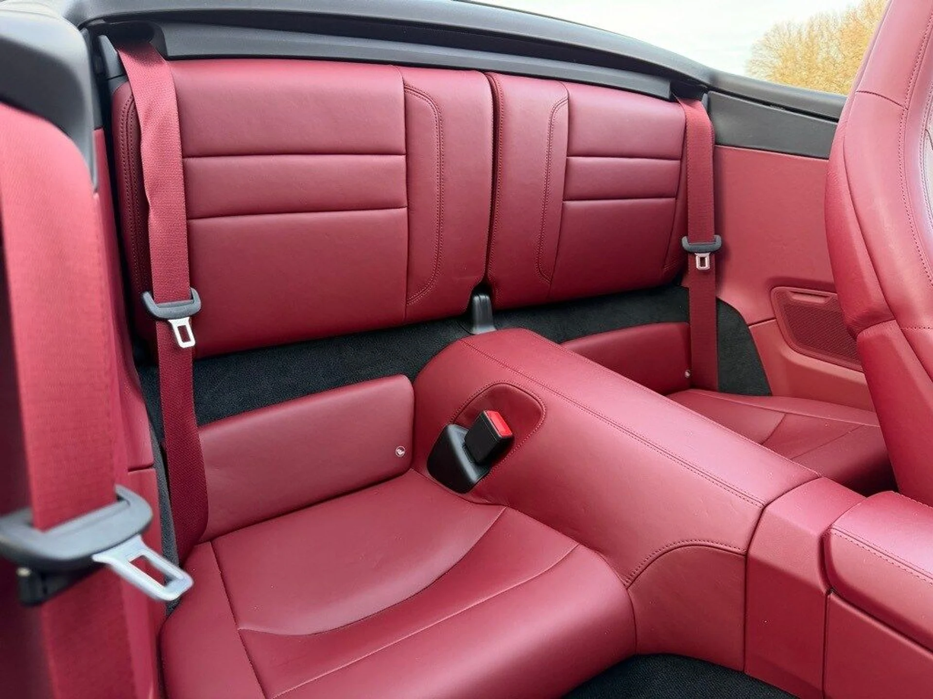 mph021_2177898945_e94842bf0fcb30e06d77d01712ddb0afx_929f013de9