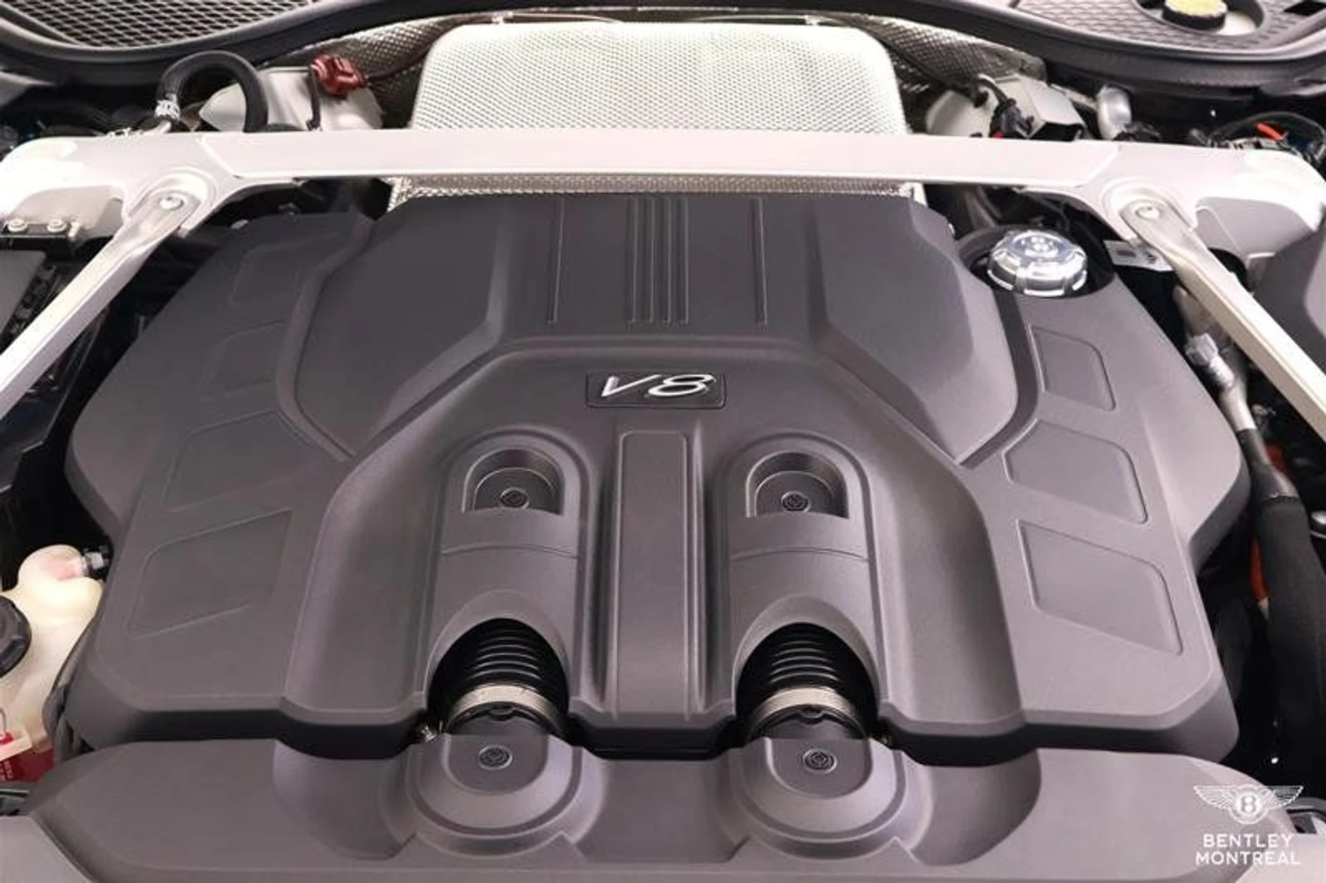 mph021_2335644328_37503927_01448_jcowmjt5_5e24acff1f