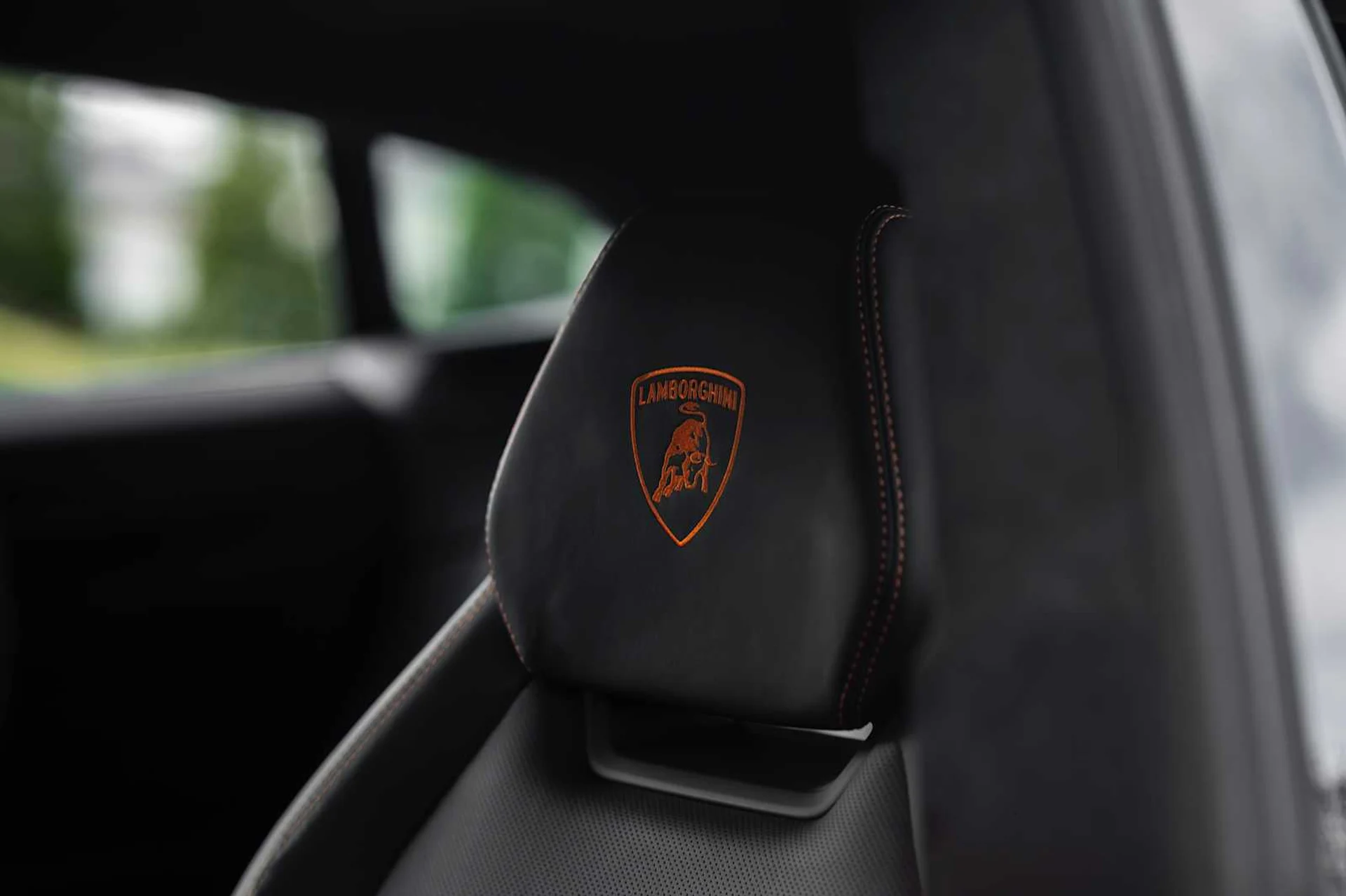 mph021_2381377472_13ec73fe0328b20ad229d05b132ffe22x_e741426850