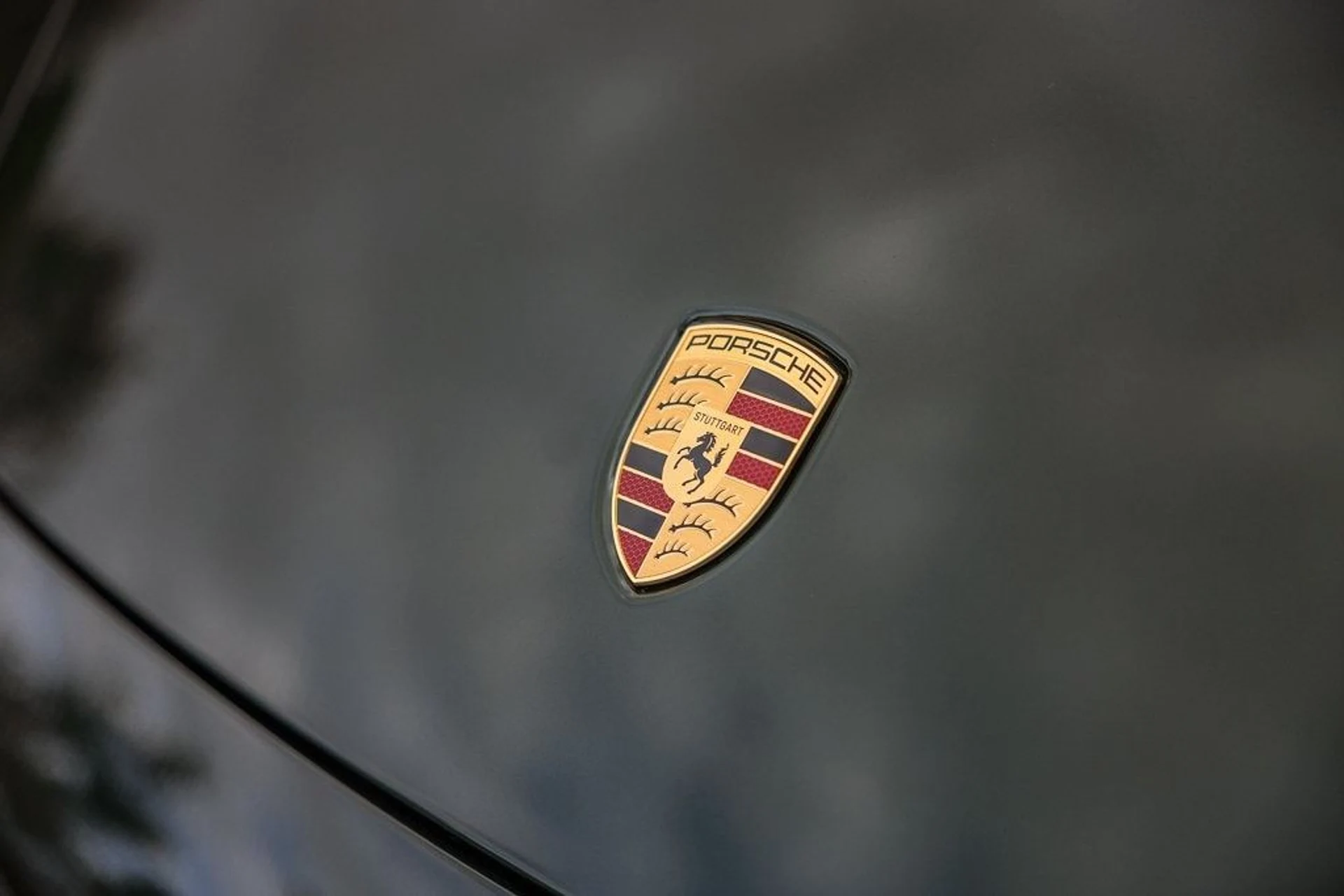 mph021_2382982324_5d4594ff95a5a5d6725a68e3dbf7fadax_3683489ed0