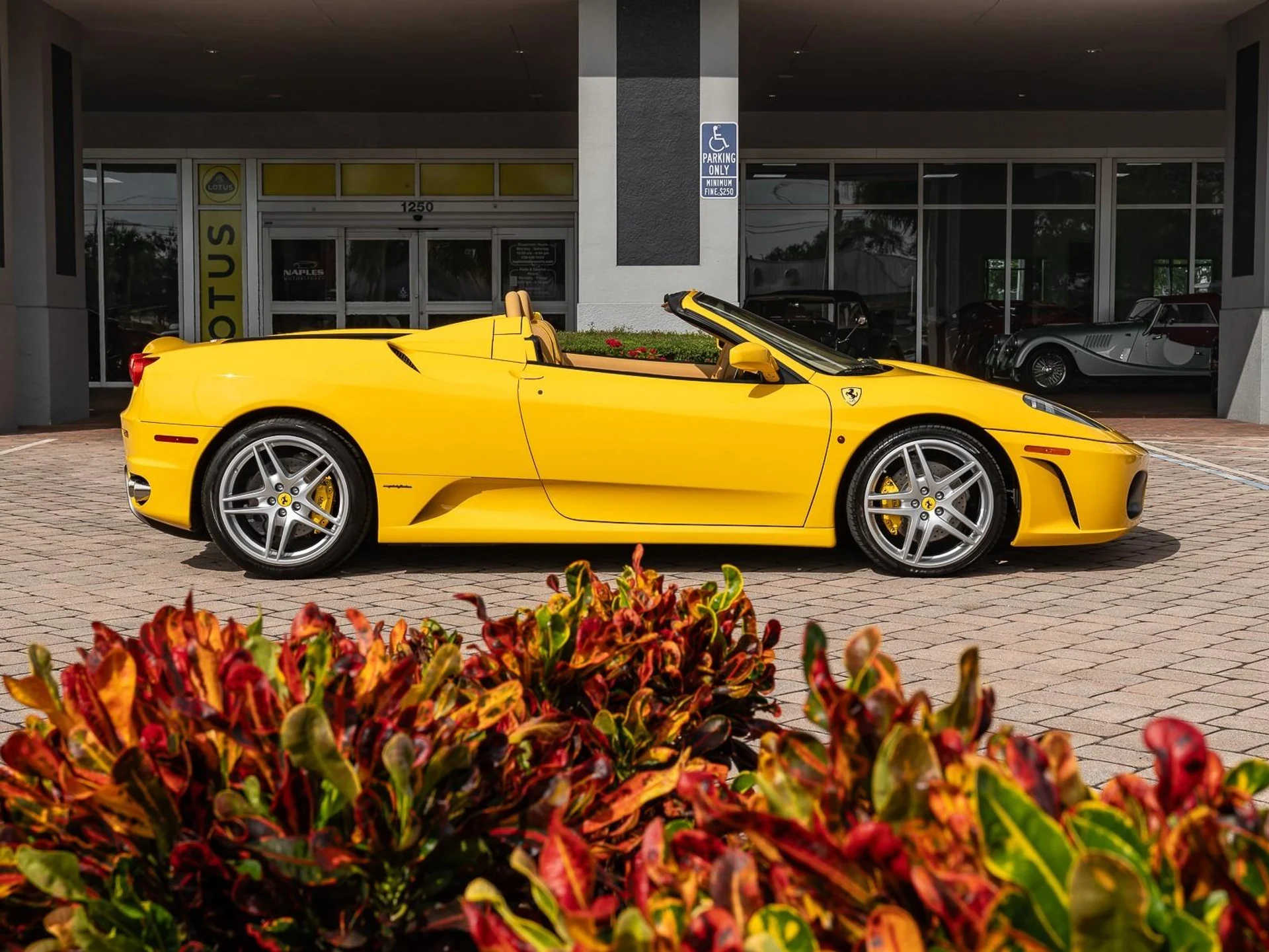 mph021_2506049552_Used_2005_Ferrari_430_Spider_1759514743_68056c9eb7