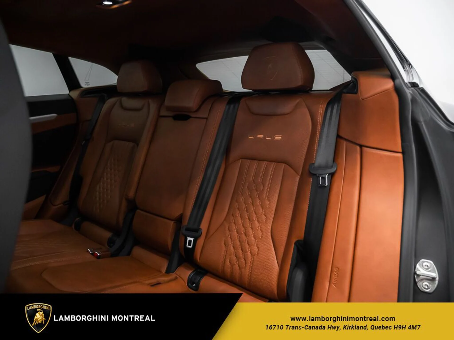 mph021_2821476552_65130d1ee6e454_71428611_jpg_v_1773863535_8a2362781f