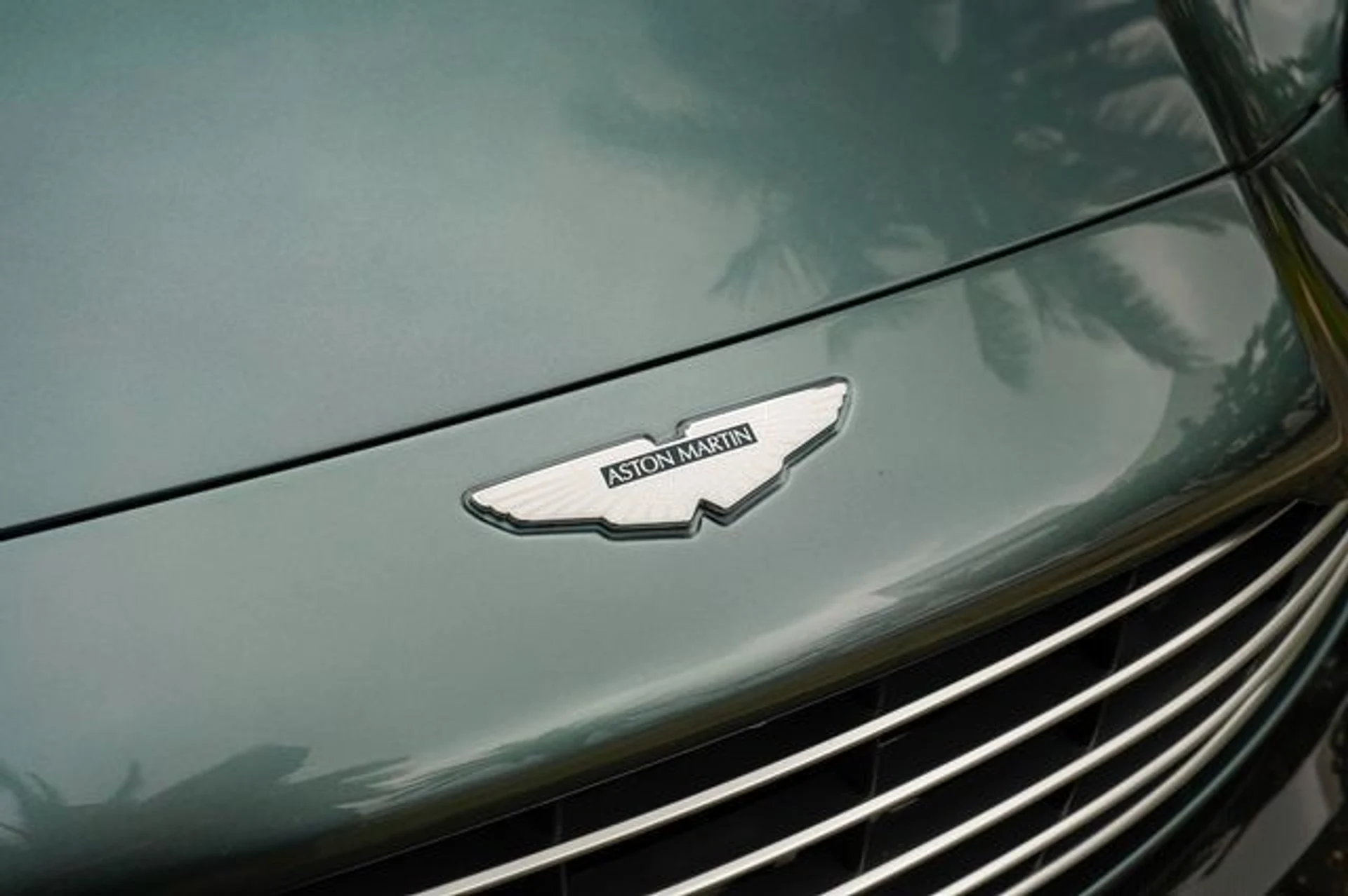 mph021_2868141766_22938048_22_fbbc9437c1