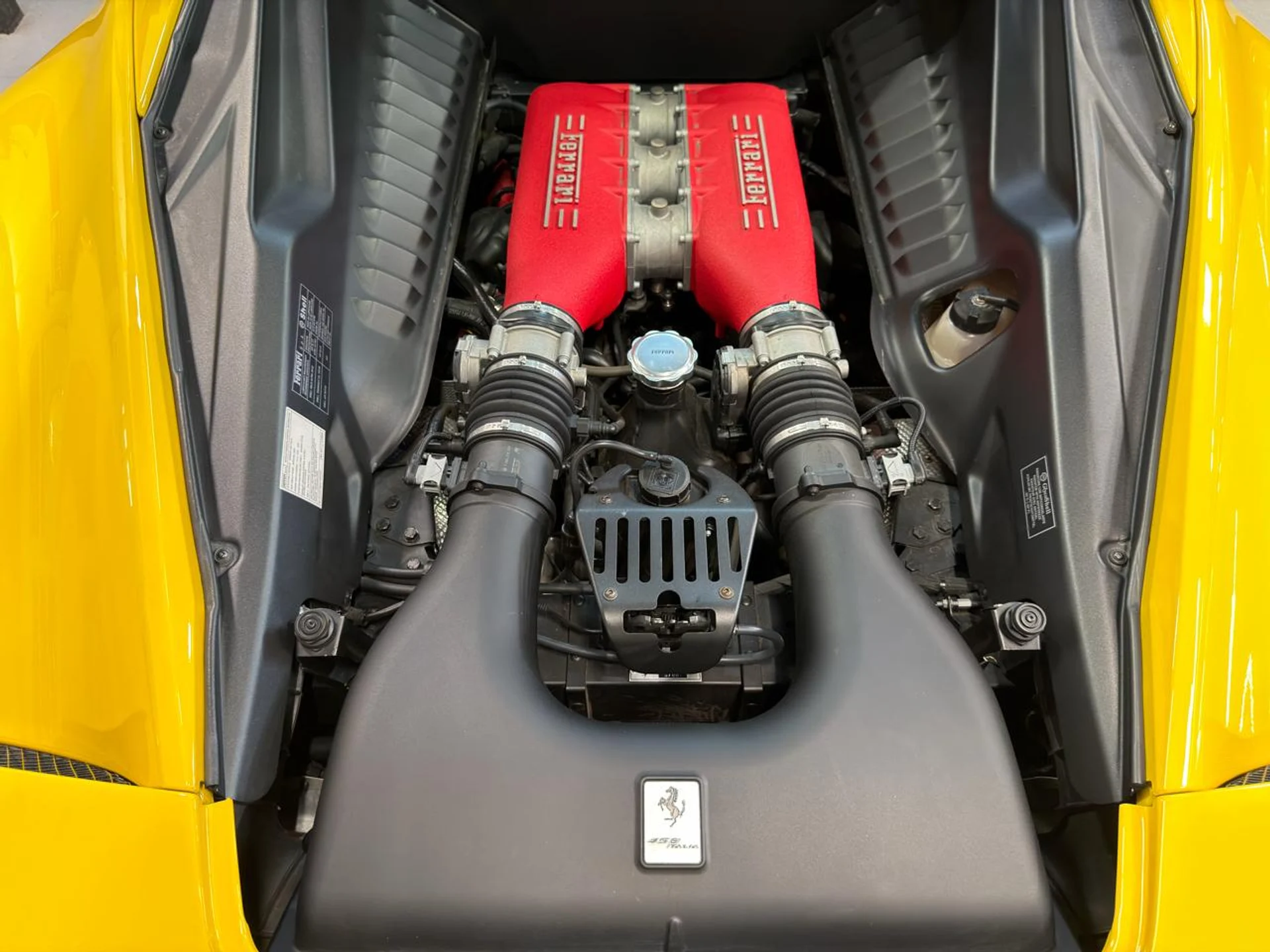 mph021_3007583601_639076298811306401_08cc1093be