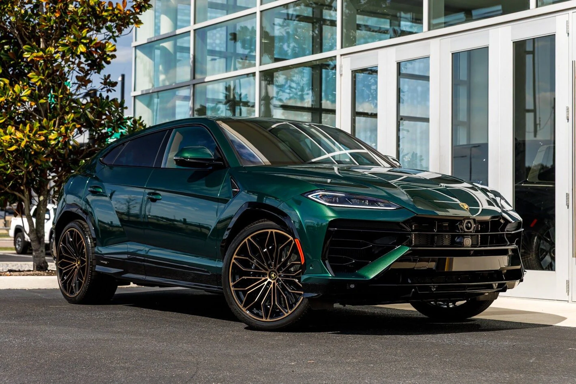 mph021_3151391838_f683c69c91a1453a27891272cbf26c12x_40c13470d9