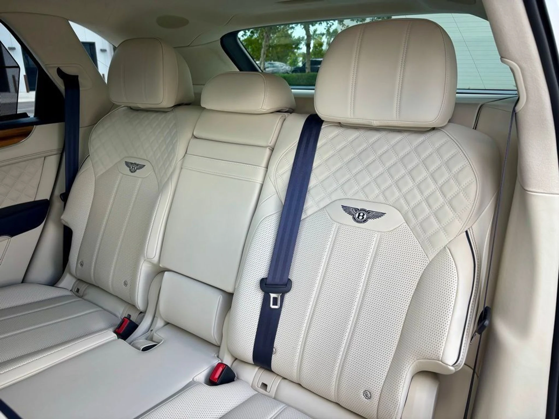 mph021_3392349585_61f18e2f70c95b5a1d7758a188f6b541_a07bbeb55a