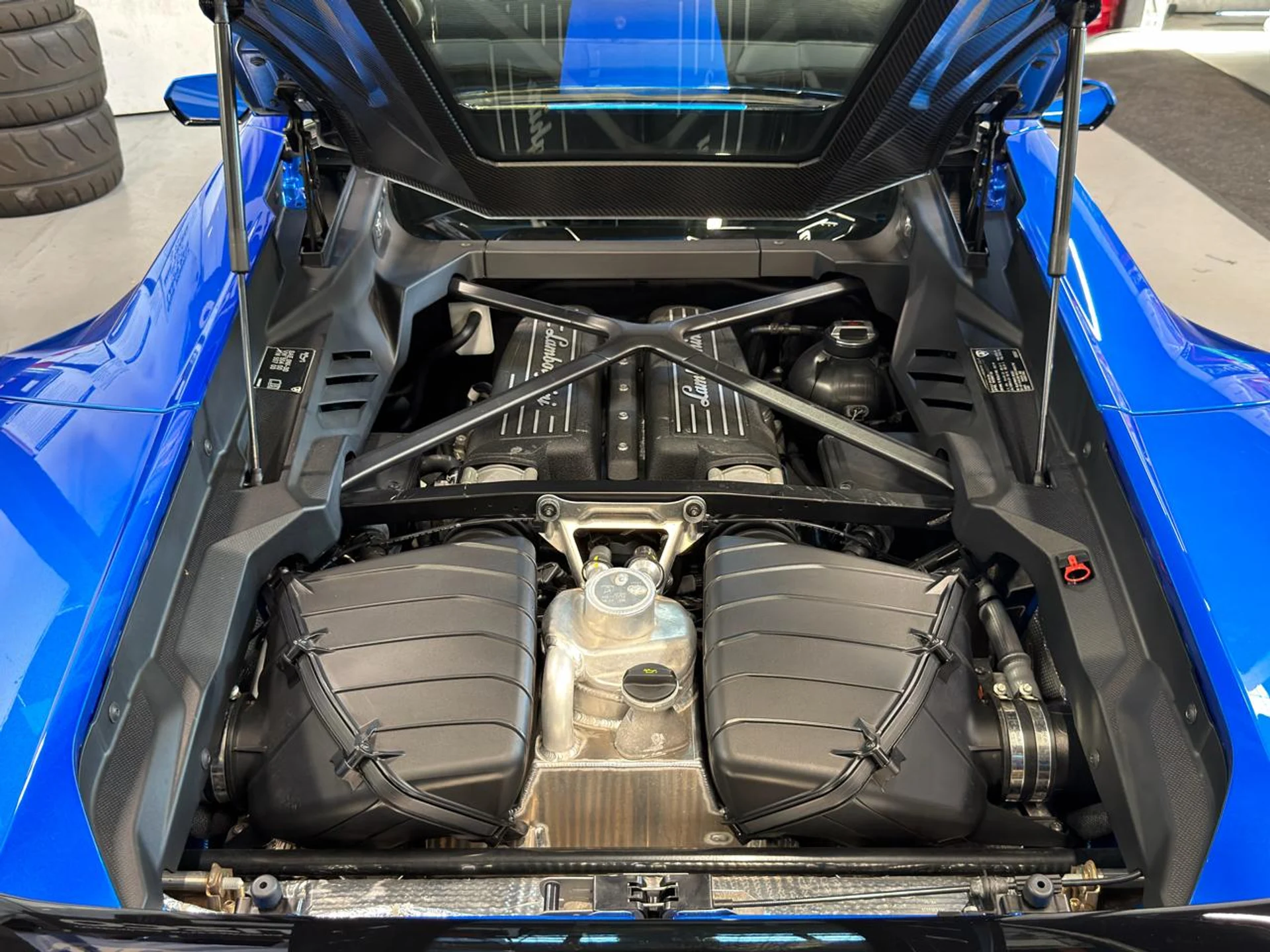 mph021_3396536044_639119606790293828_08f3a6311a