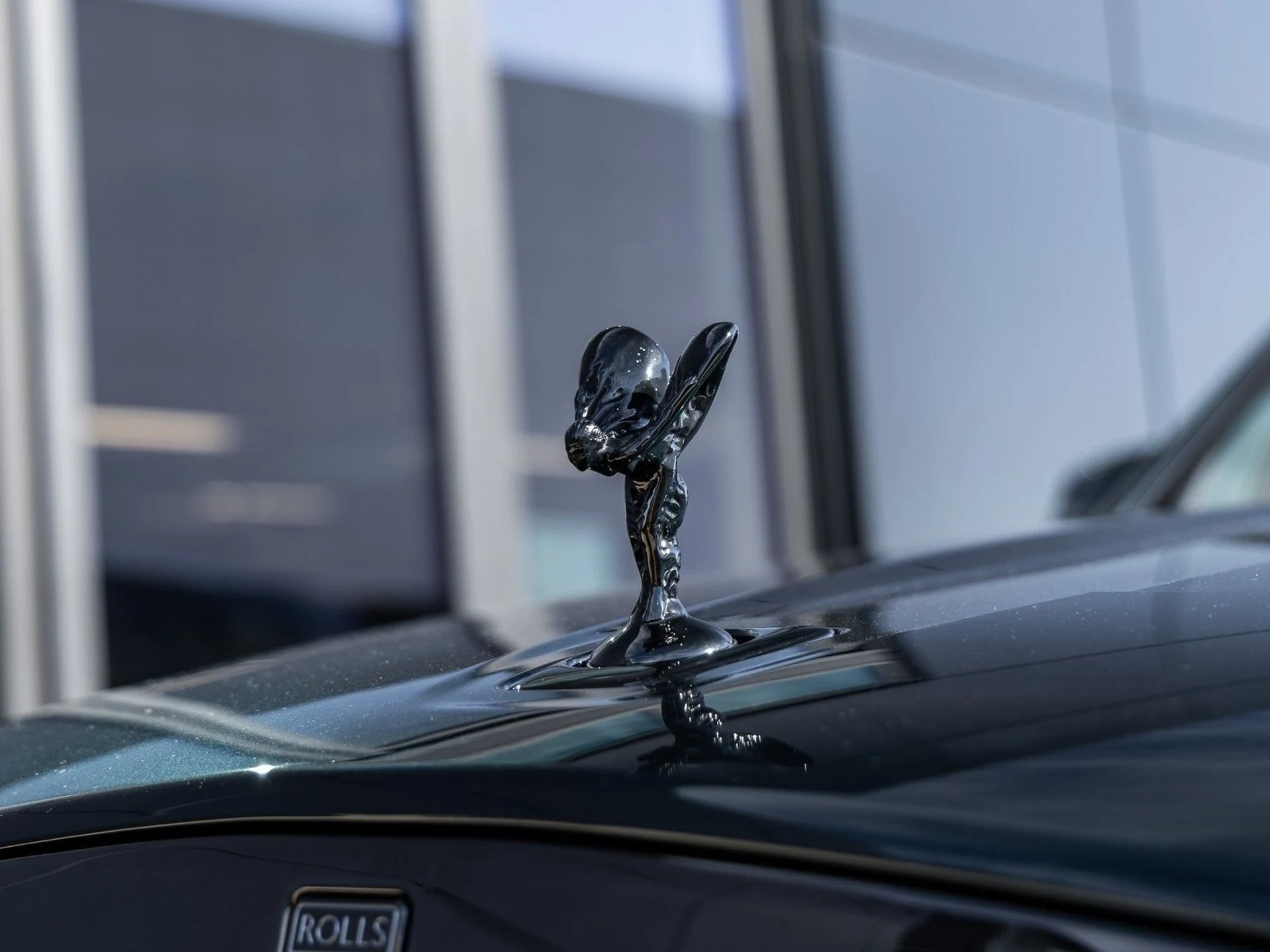 mph021_3440034297_22_cfc315405f