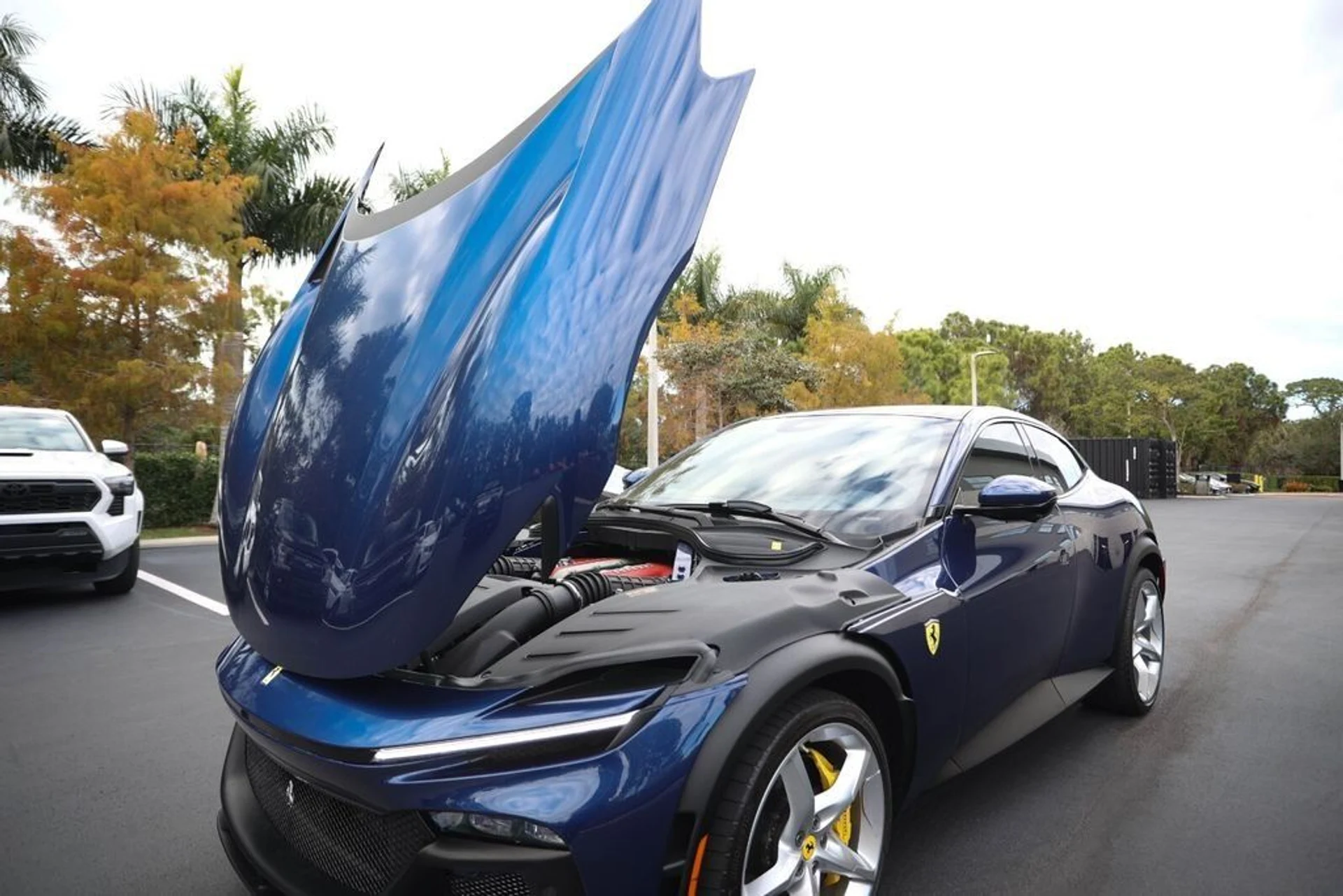 mph021_3607349768_ac0f6ae49cb068c21ef9141a6292369e_178cd17390