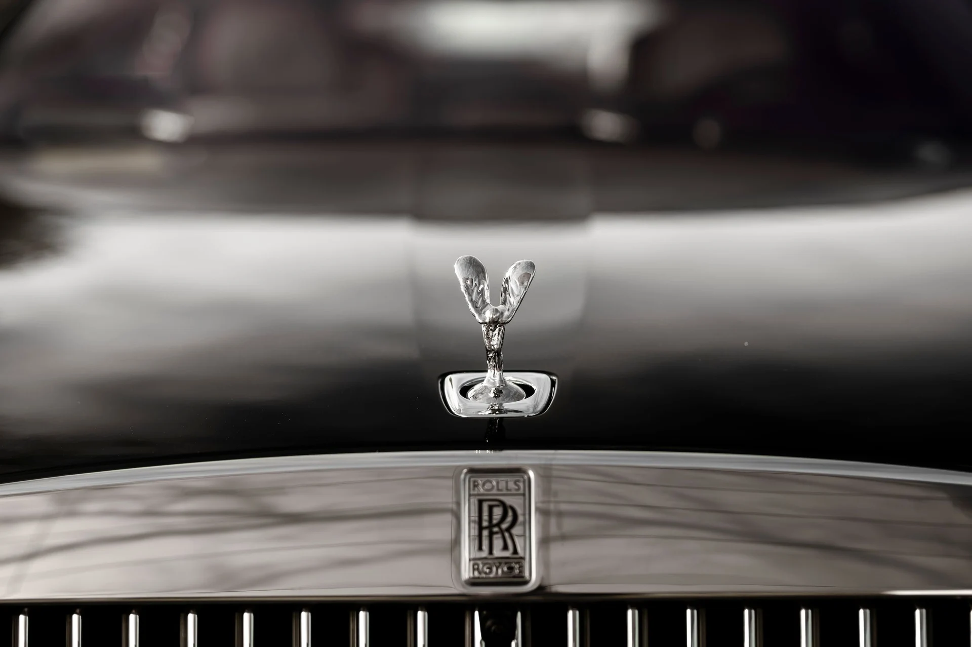 mph021_3812147842_d640a600b43e4ae1bc5f2ae713f3e0ef_5868a7961f