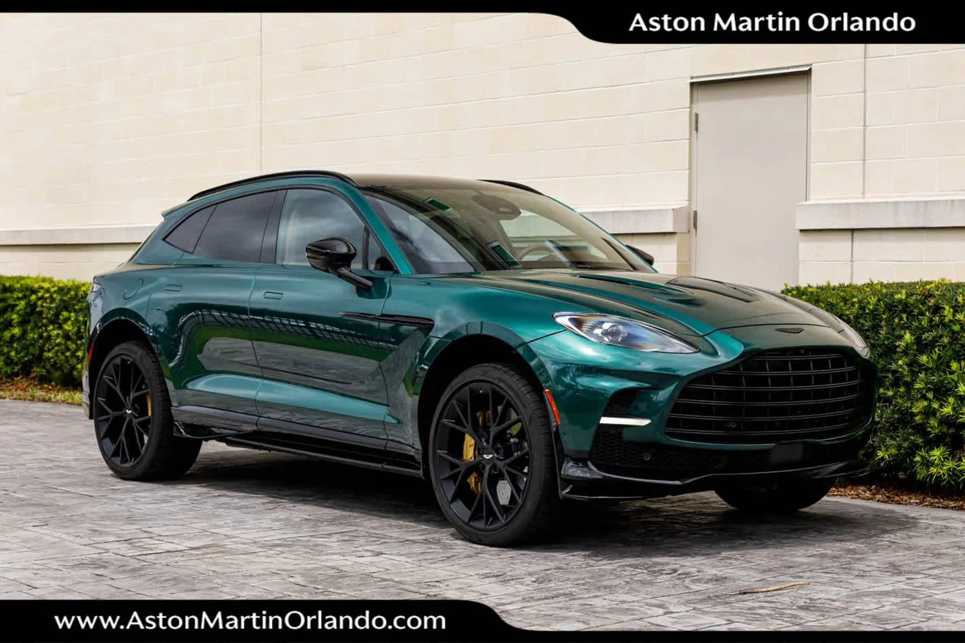 mph021_3813893528_22_b32190502c