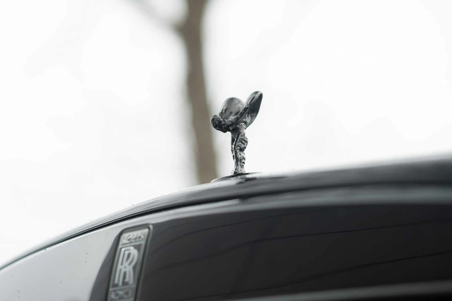 mph021_3874776498_588a5c2530d4f372406a24a91592075dx_6d696364c7