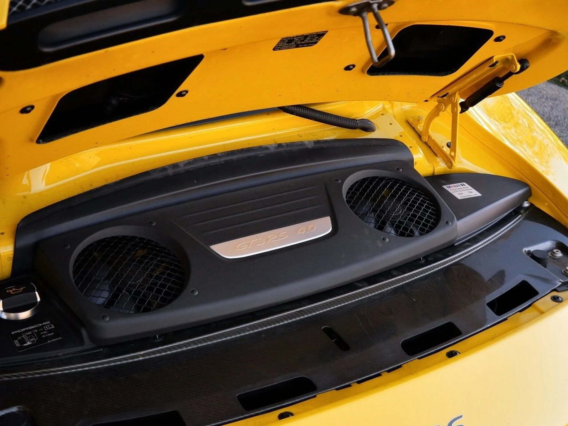 mph021_387722175_7780142964582f9b69cf2deebd8259b8x_bfbf3267d5