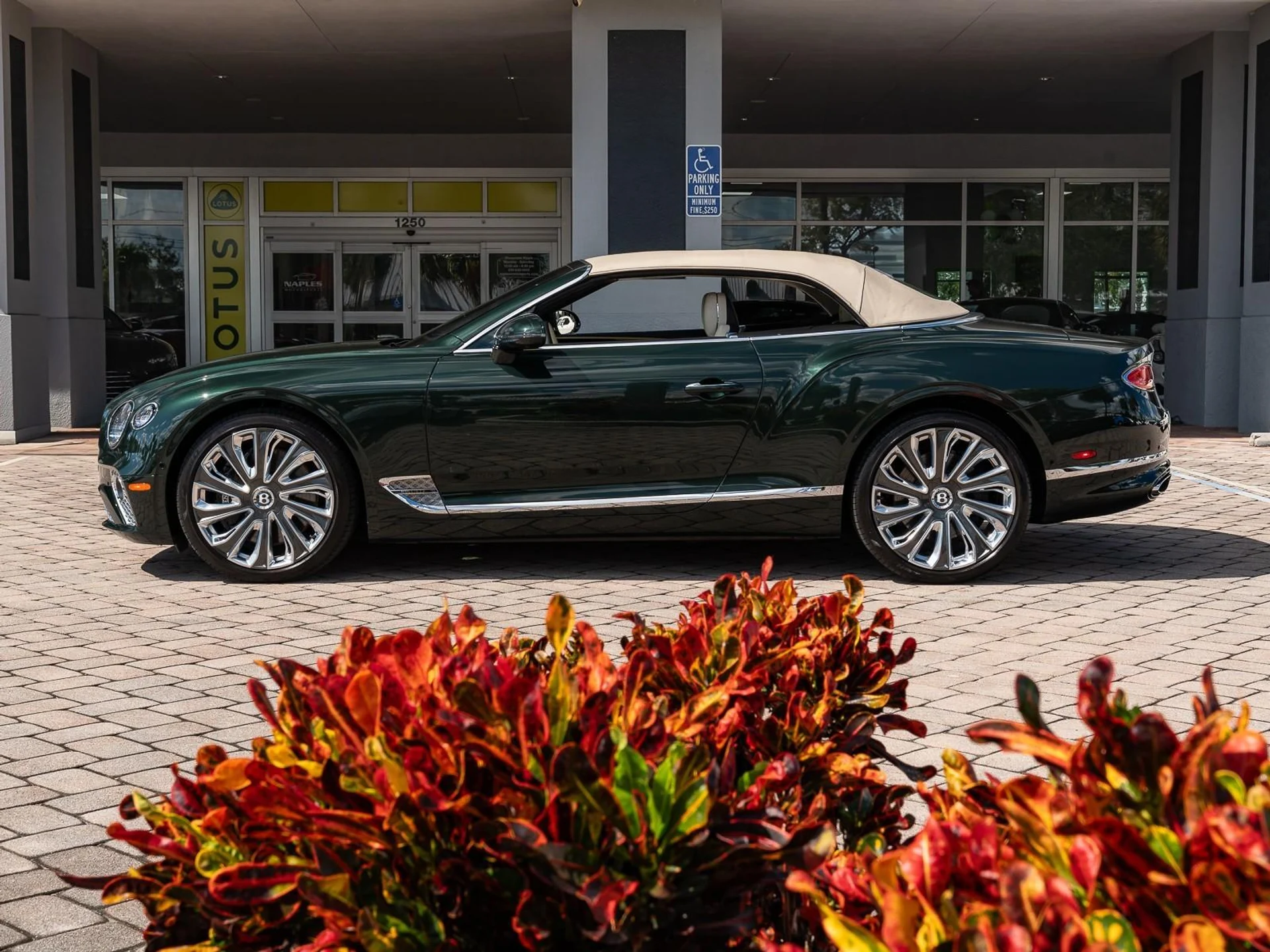 mph021_391052841_Used_2023_Bentley_Continental_GT_Speed_1761343533_61528a9ae6