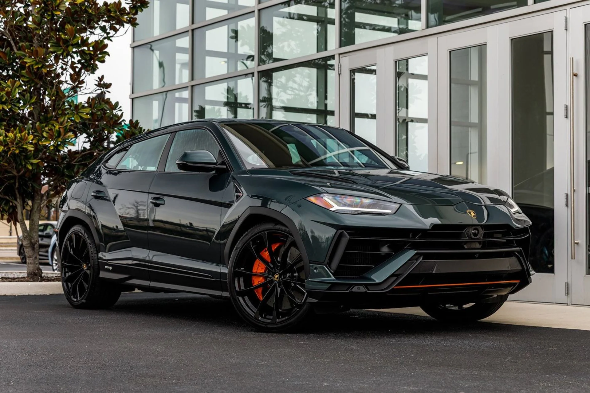 mph021_3944623728_5122982e0b4774976622ed9358e9f051x_5561939100