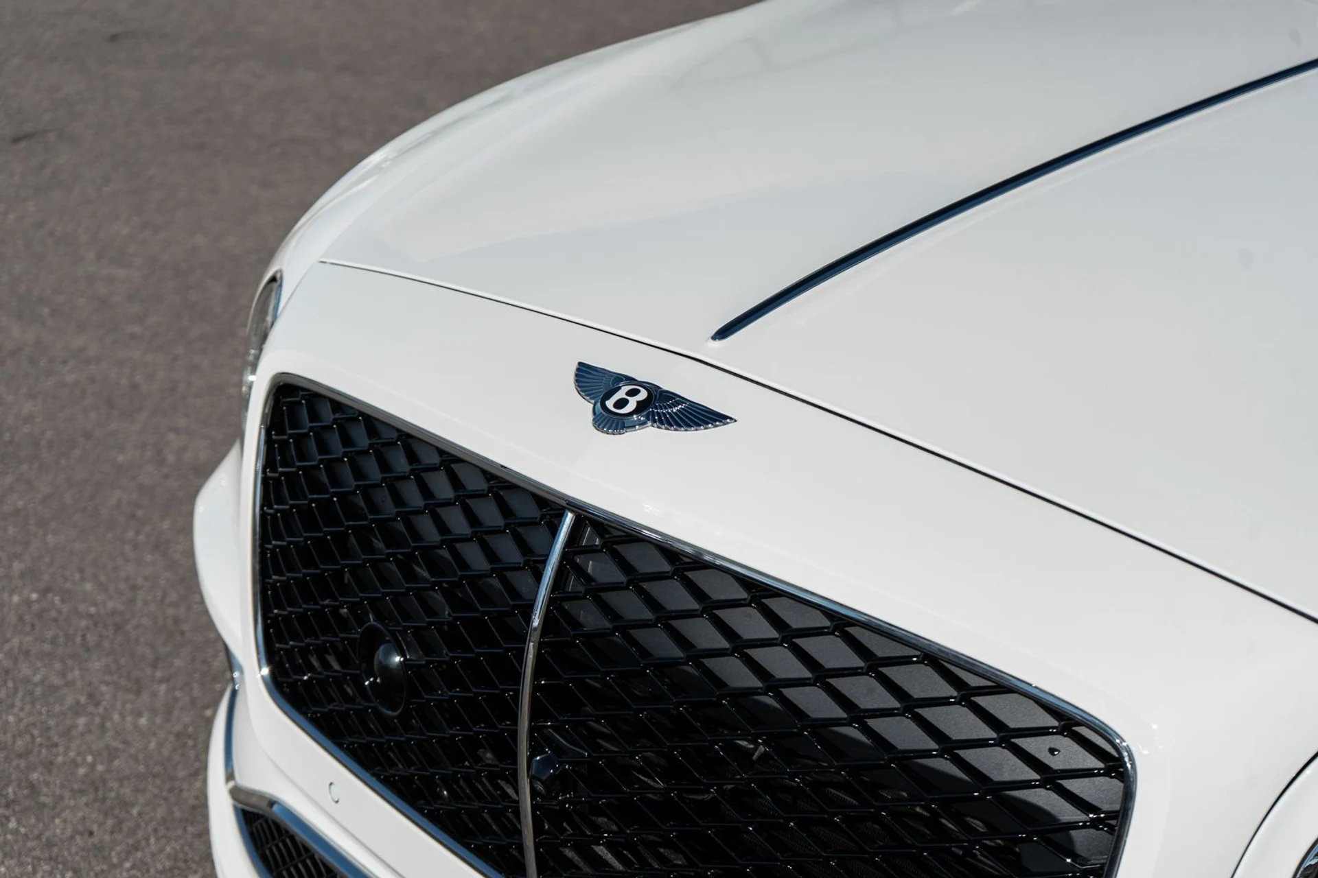 mph021_3945549762_bc21ead8_d6df_408d_a340_8dcf56ef51df_180003bbbc