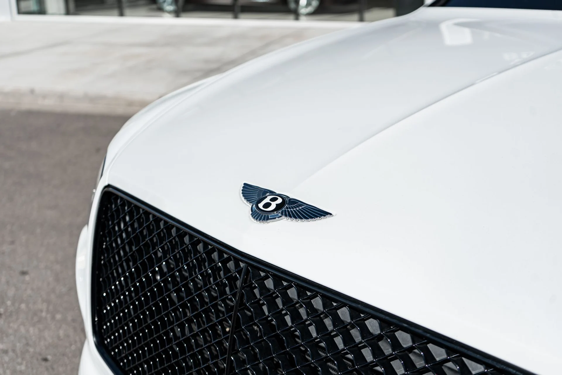 mph021_397770327_47241b6d_272d_4ea1_bbde_e325cb863868_caf677a7c7