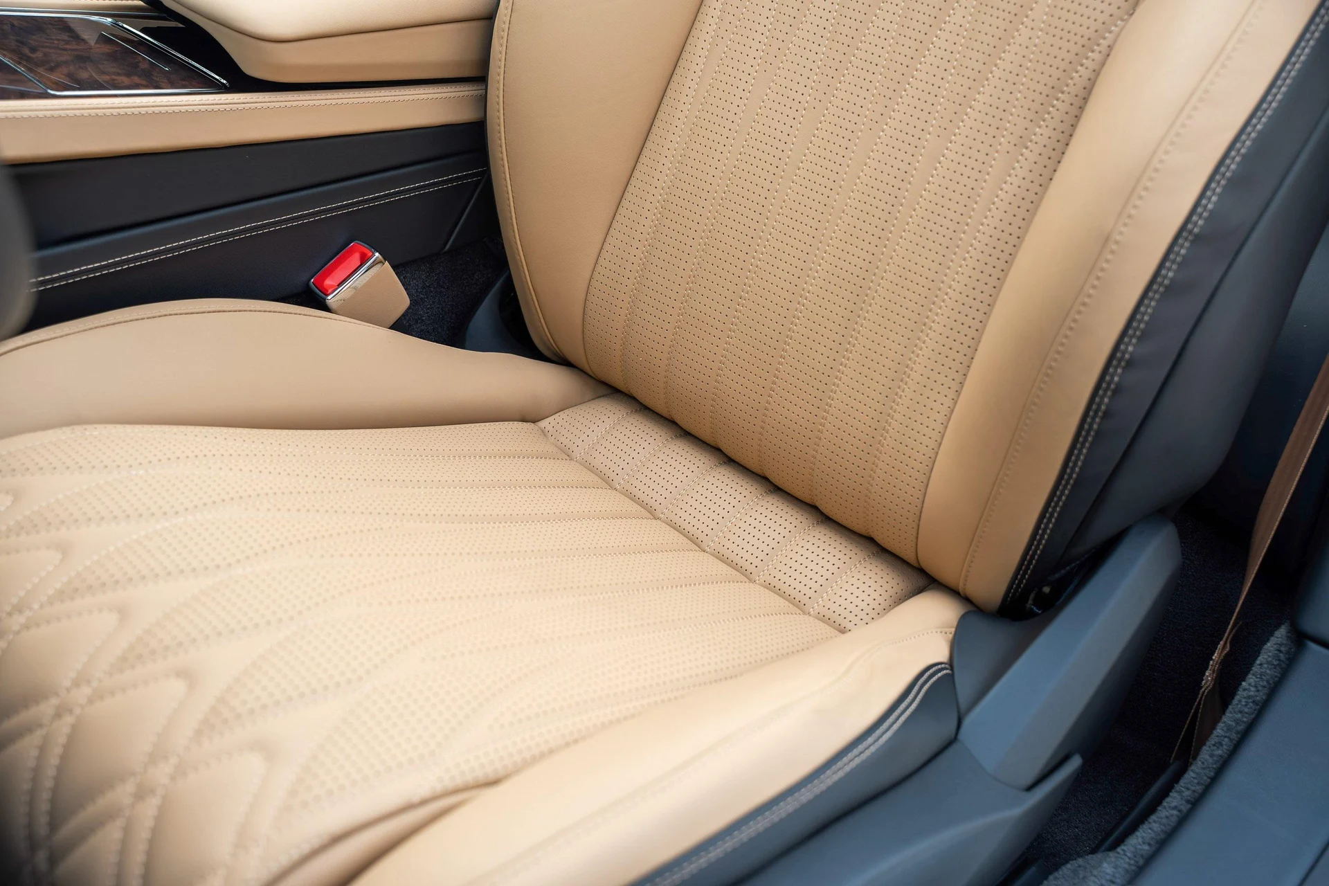 mph021_3982804461_462758408_69200973af5727c8024d8181_21dfc37365