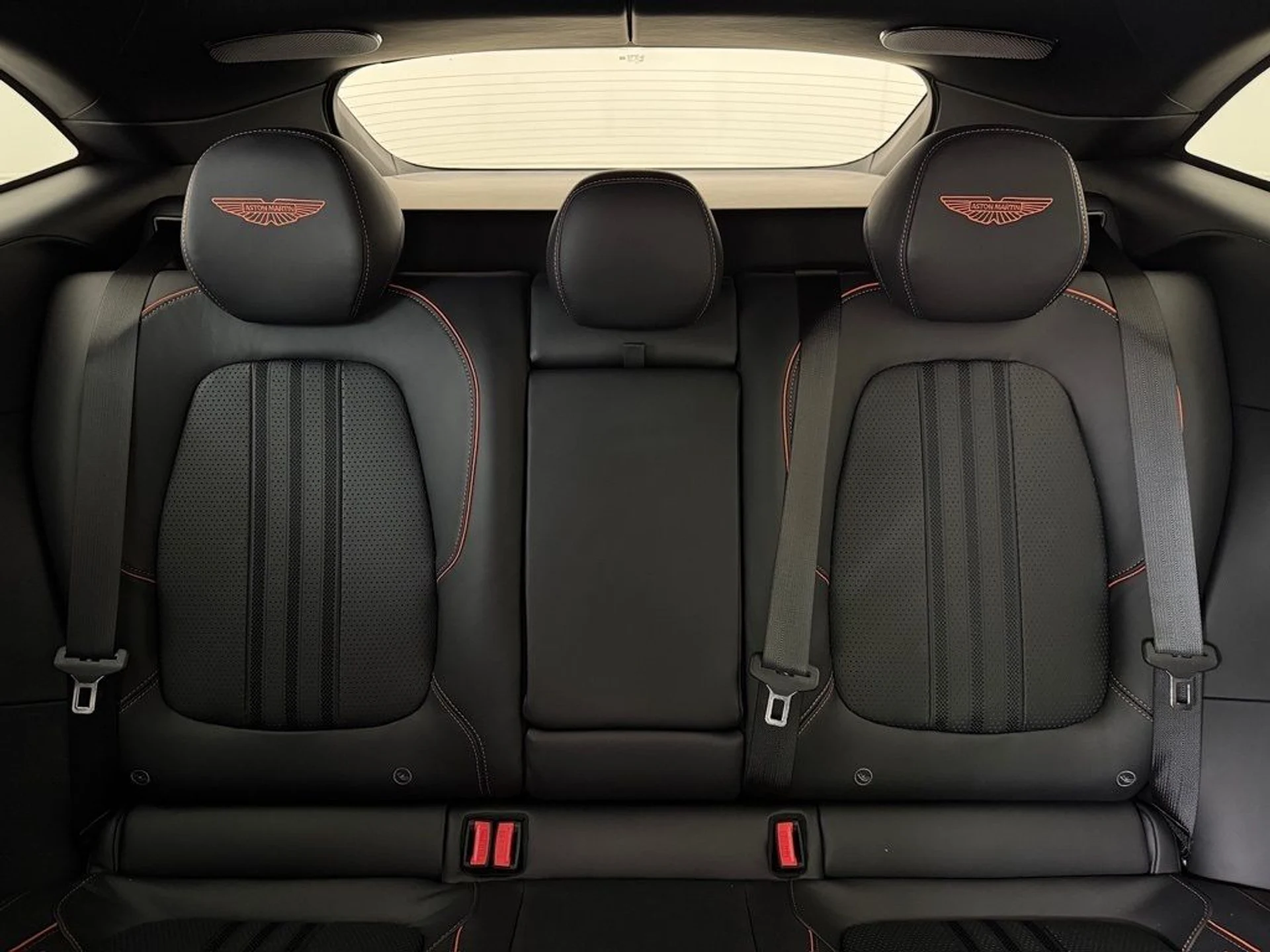 mph021_3993404954_ymgw95ewy8tb64mgt3z10vgqstny_e4e209117d