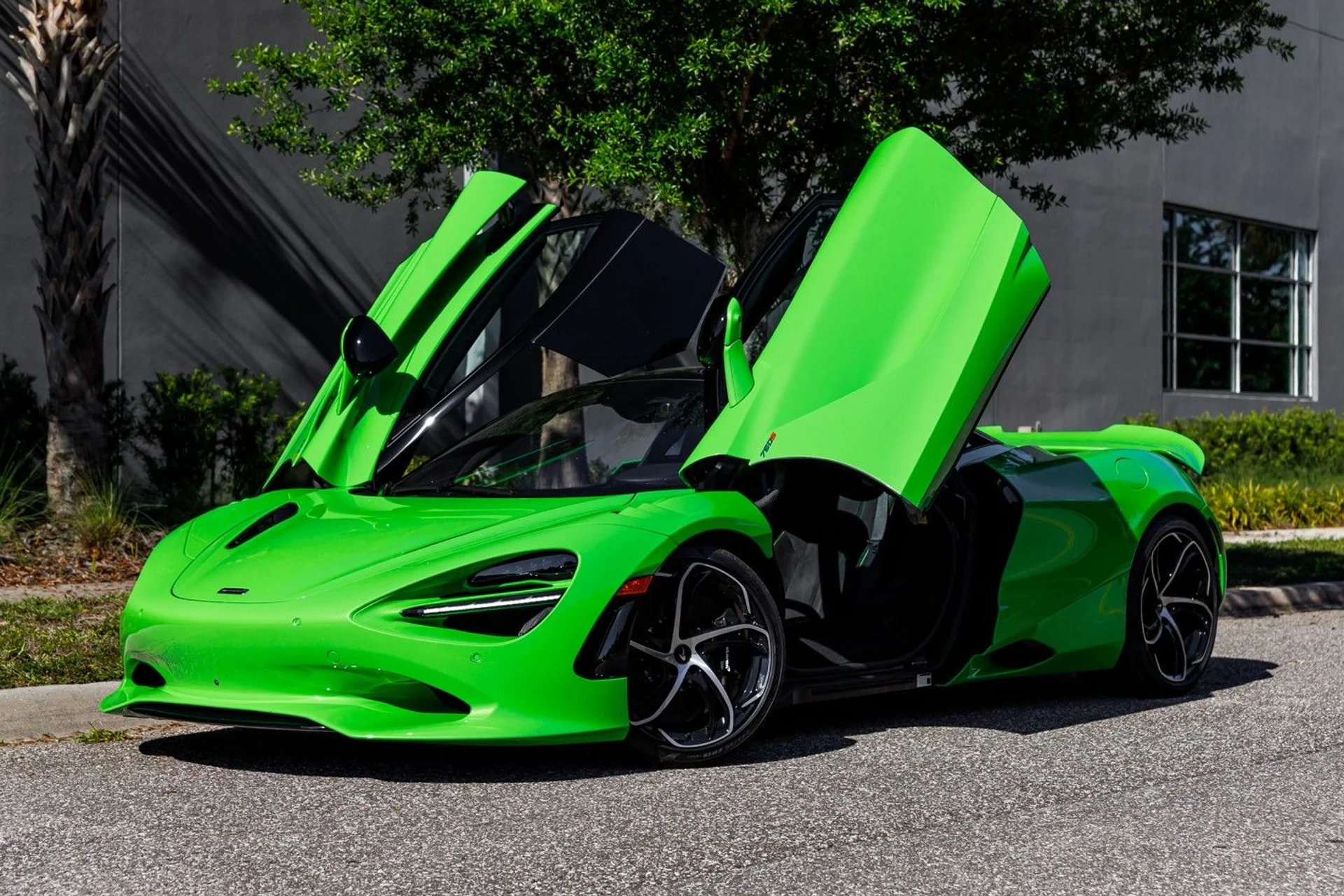 mph021_4011203582_668_p22_l_55b193f3a5