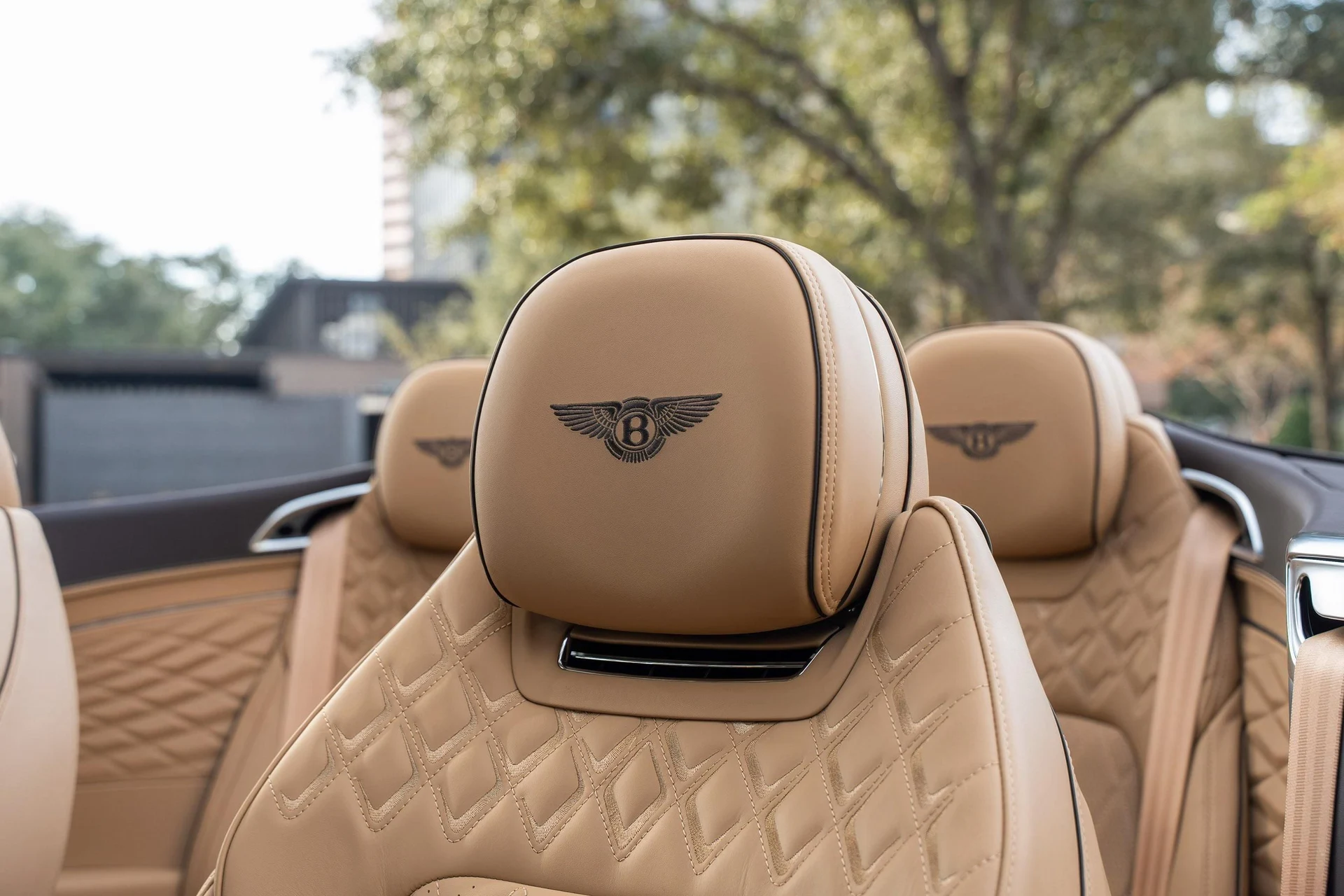 mph021_4036626986_477619926_69423fc26f06135f3b57d9d6_0393265ffc