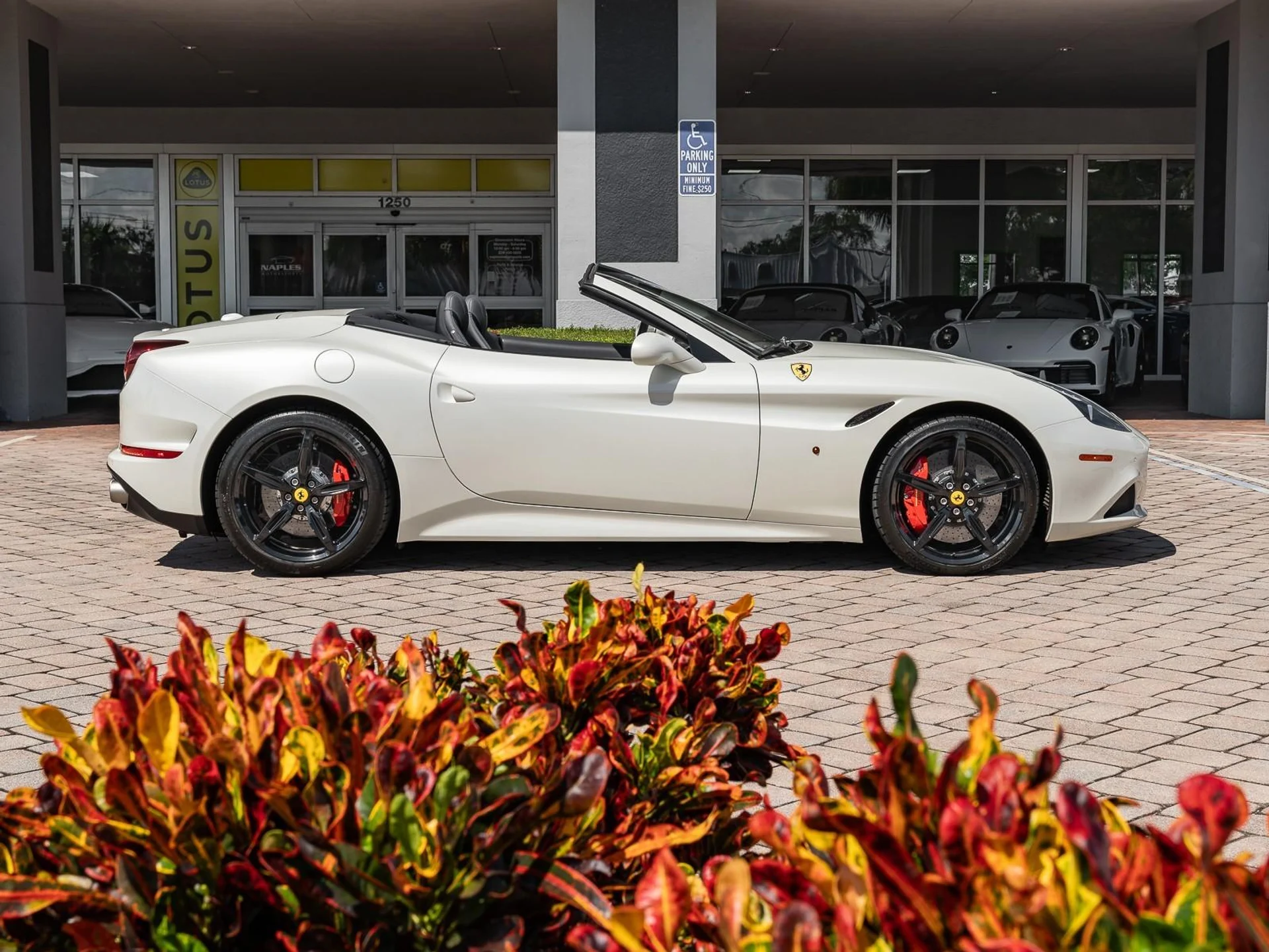 mph021_4062753501_Used_2015_Ferrari_California_T_1758132662_36b573c71e