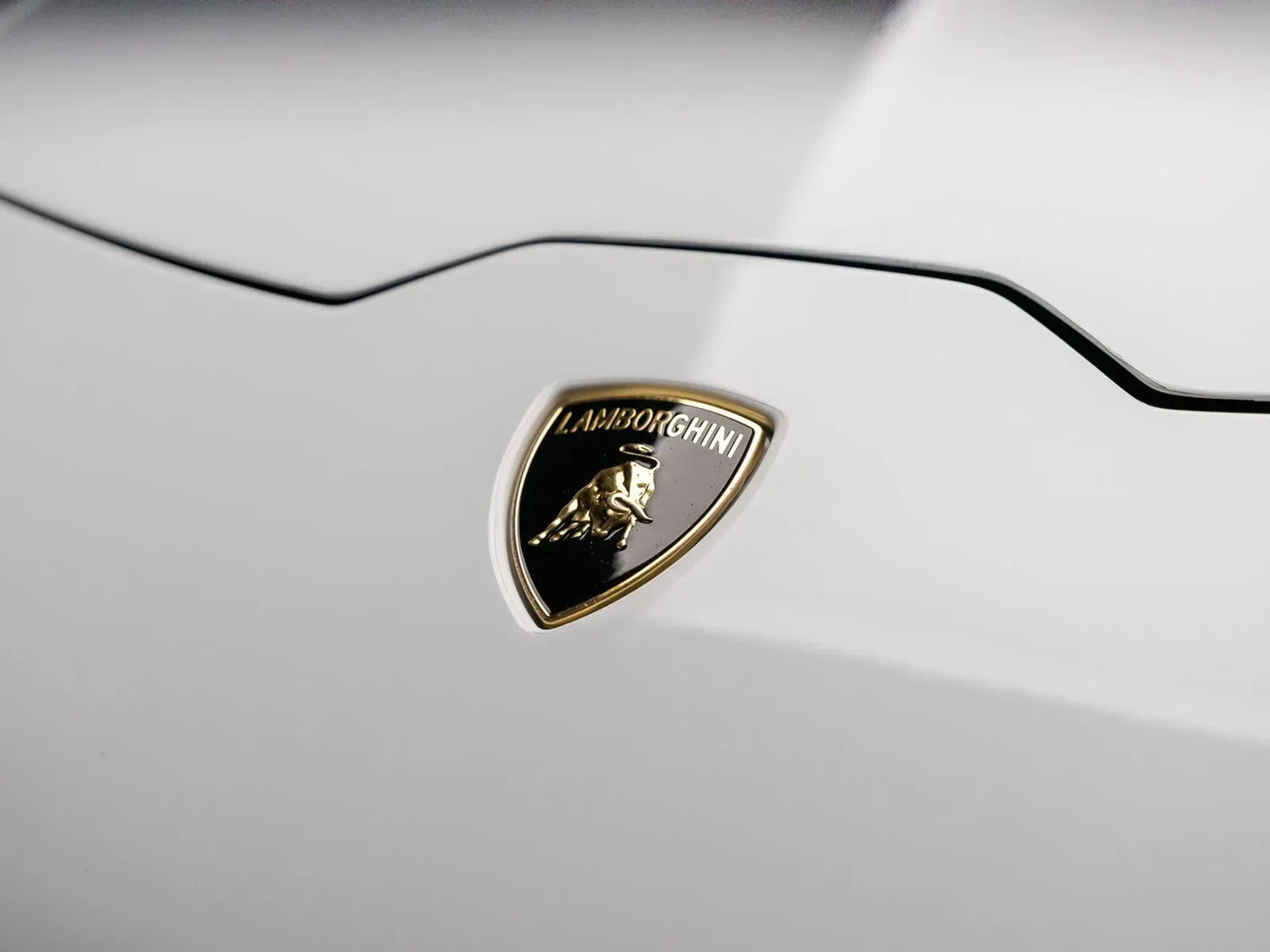 mph021_4125646858_7be227f5_d32d_4c21_9f85_f4990cc8035e_3ab6ce0c31