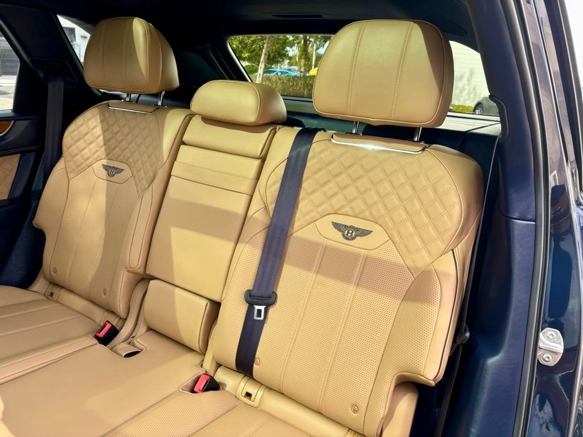 mph021_4259134794_b6109933c44d5632366488d2cdbfab7b_8816aa6b80