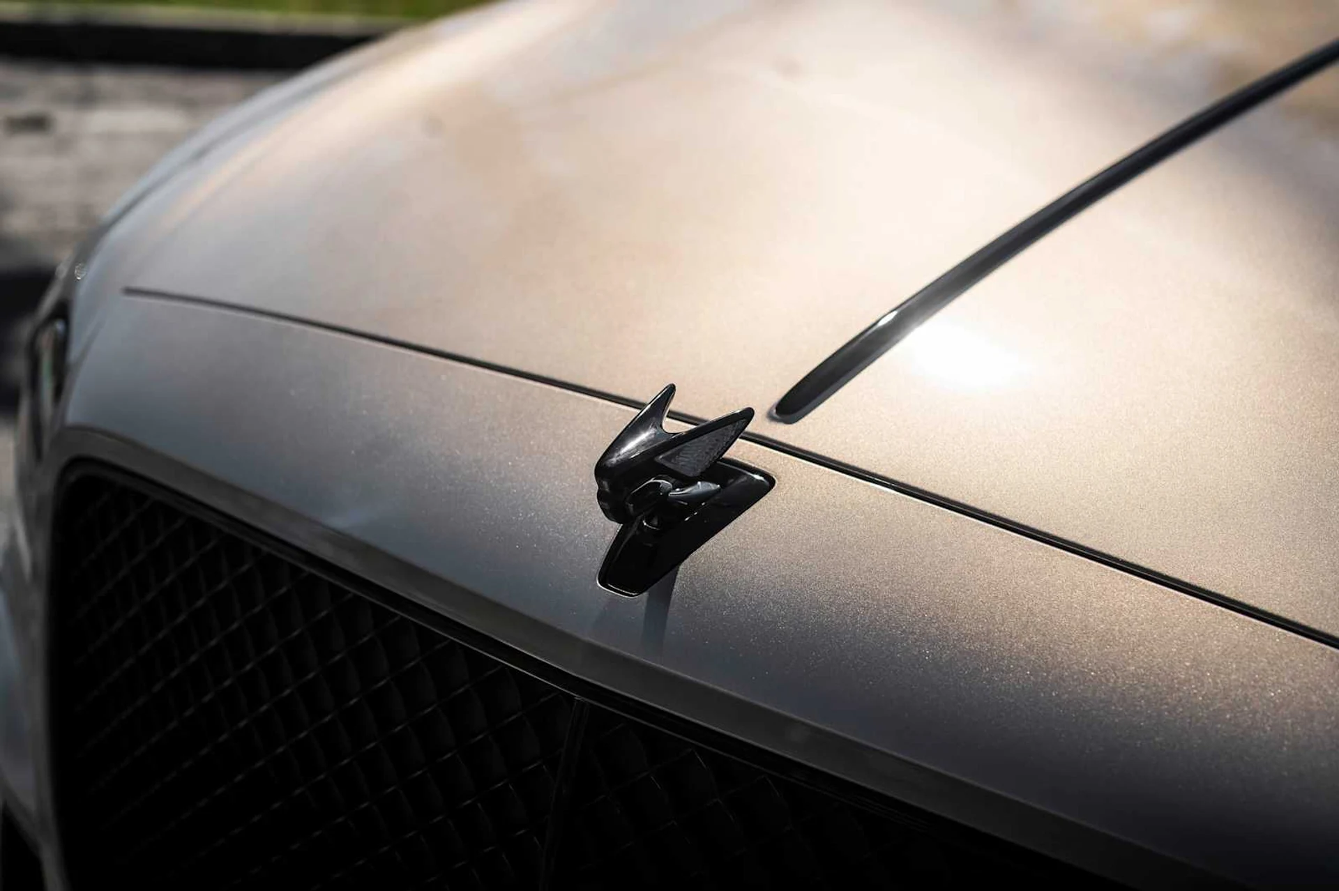 mph021_441774569_9383a17a5aafcc009787e99a8cf869d8x_7e62683052