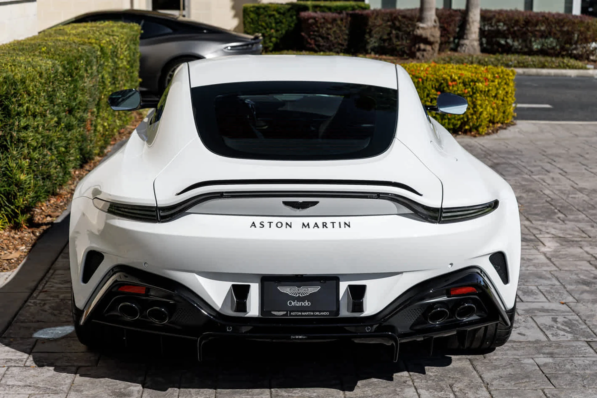 mph021_531326002_22_3f8b87786a