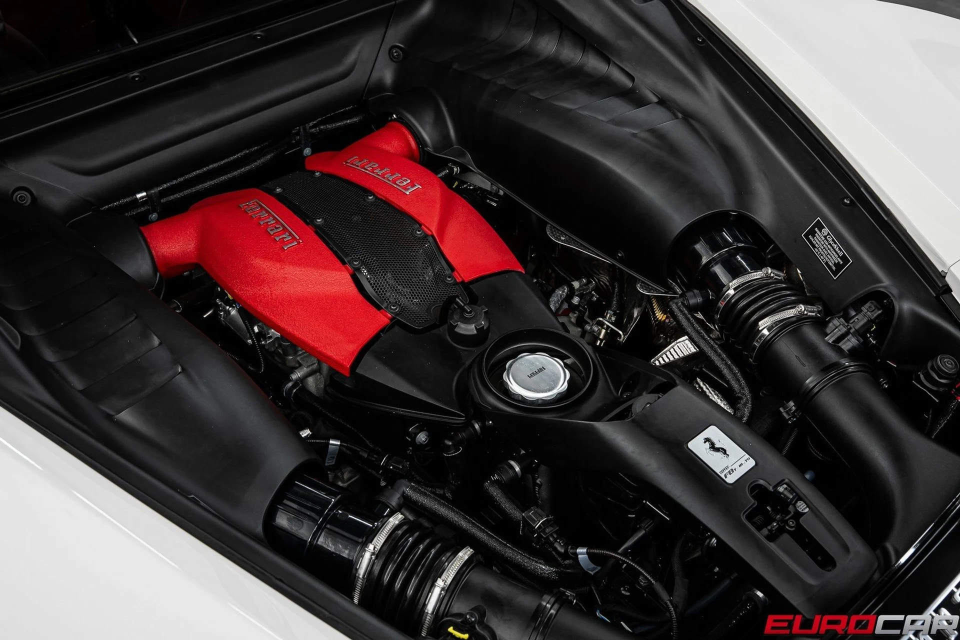 mph021_568659077_image_22_c73b5bfe4a