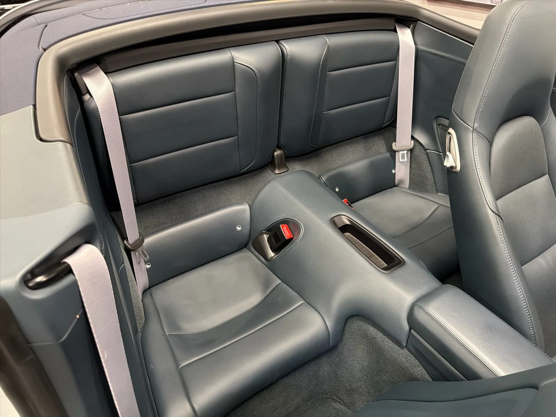 mph021_576037487_638996882712742682_79c8bf68b6