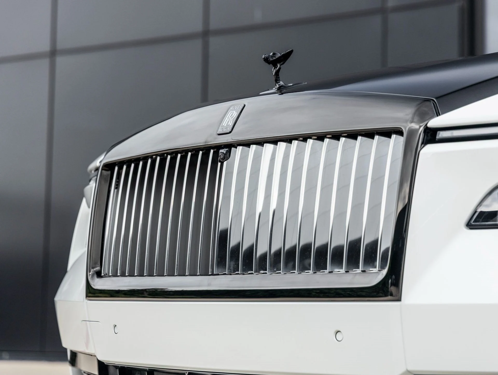 mph021_592323631_22_379a773802