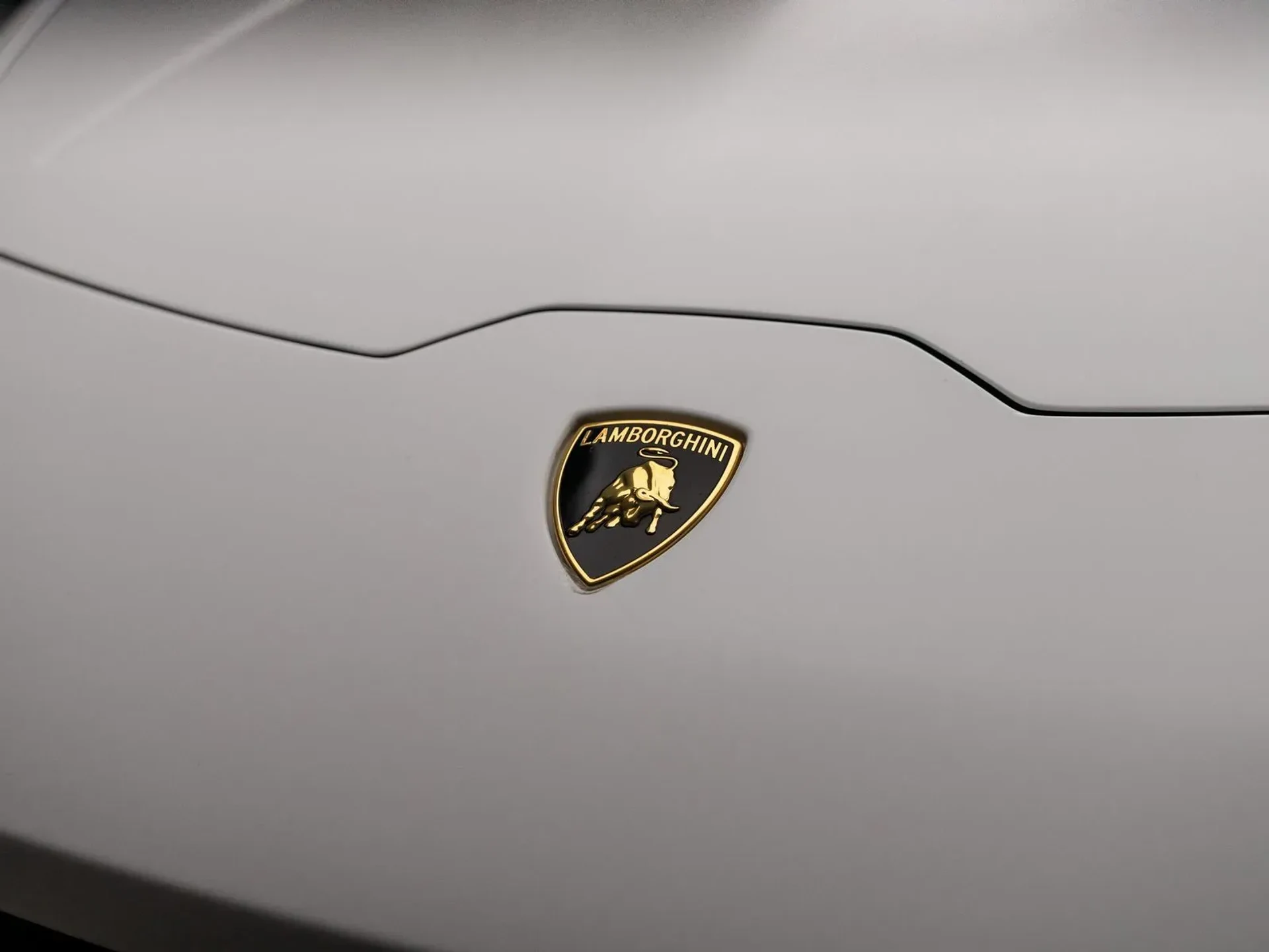 mph021_707915335_5fee83d4_9589_4e86_8763_0afe2ab88158_acbe176358