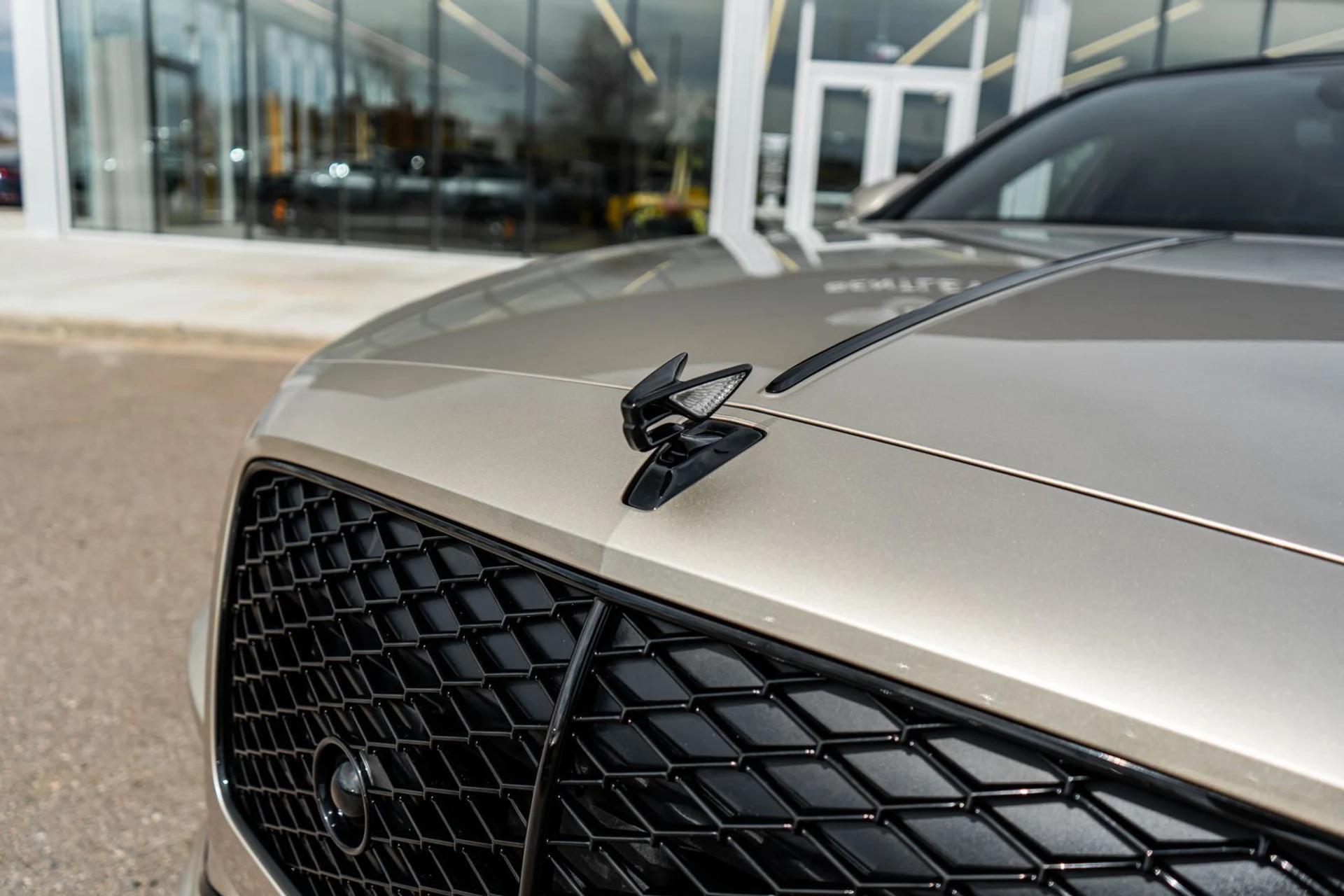 mph021_802855875_2bb26ac2_b2a2_41d9_87e1_c743225465f0_f3bf9bb049