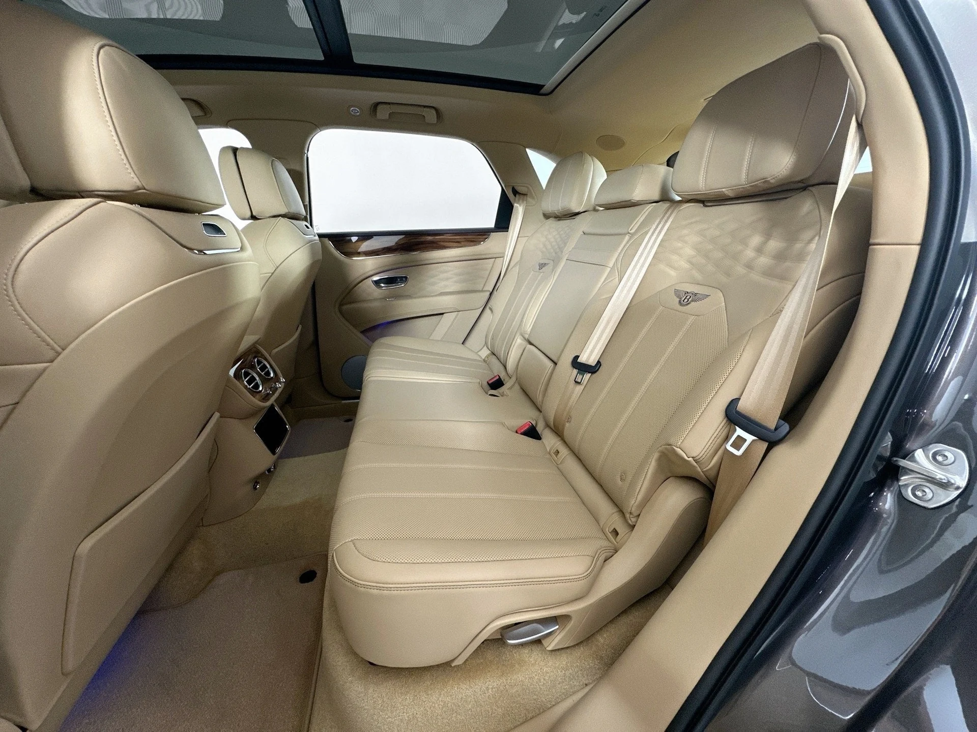 mph021_803863497_22_1b2f0bd1d0