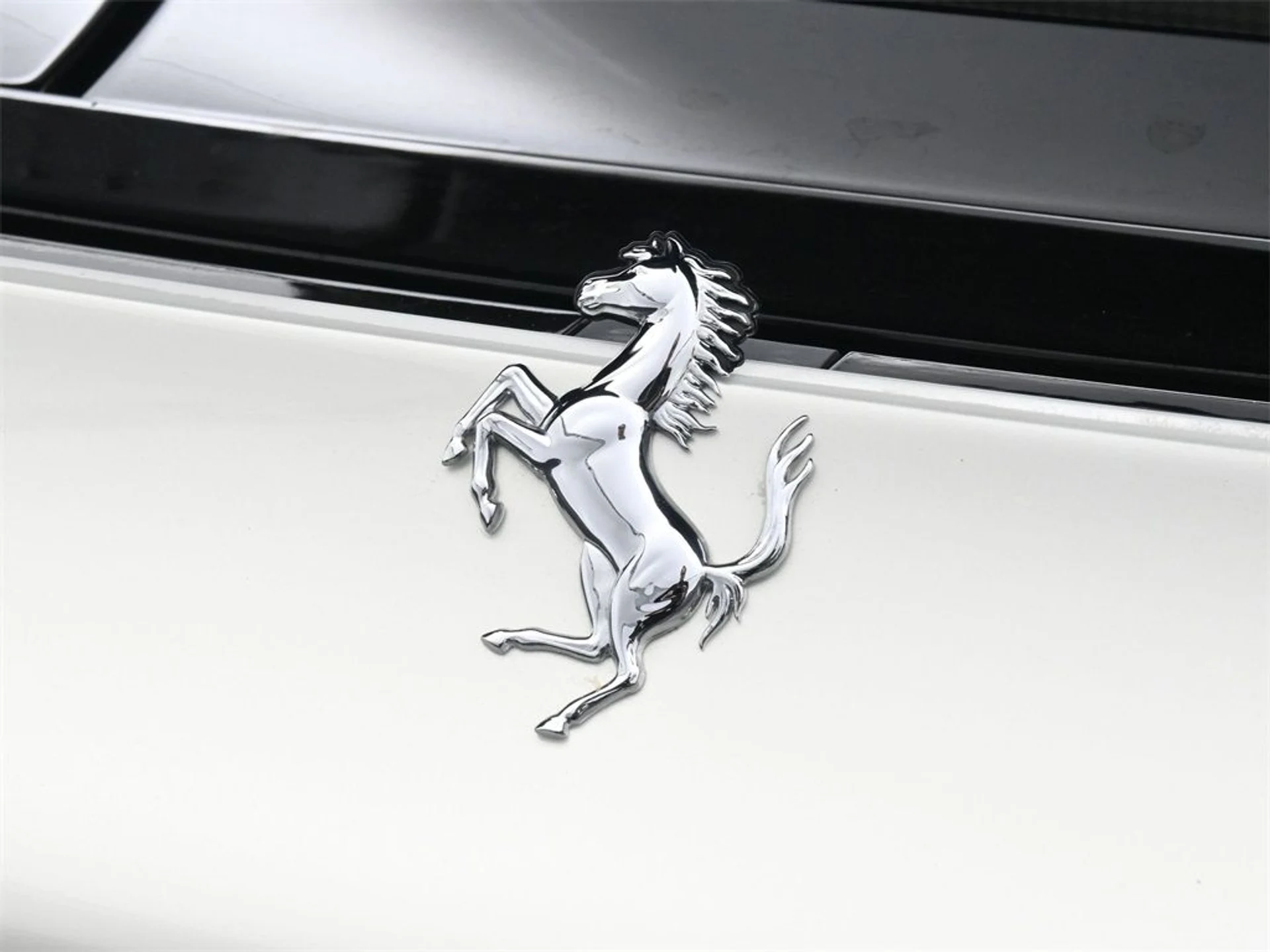 mph021_81313411_e146c3898f3a134a384a367a1e4bed8b_c9adca9a29