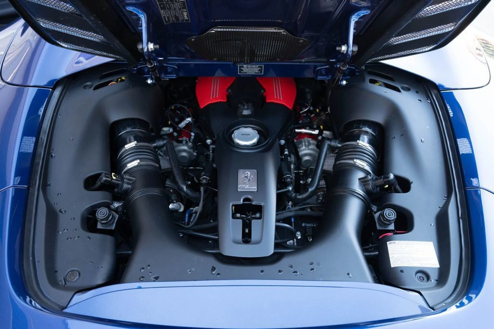 mph021_967967057_0a4c02f1f7644025a89b86658e9edf7c_b215a271b4