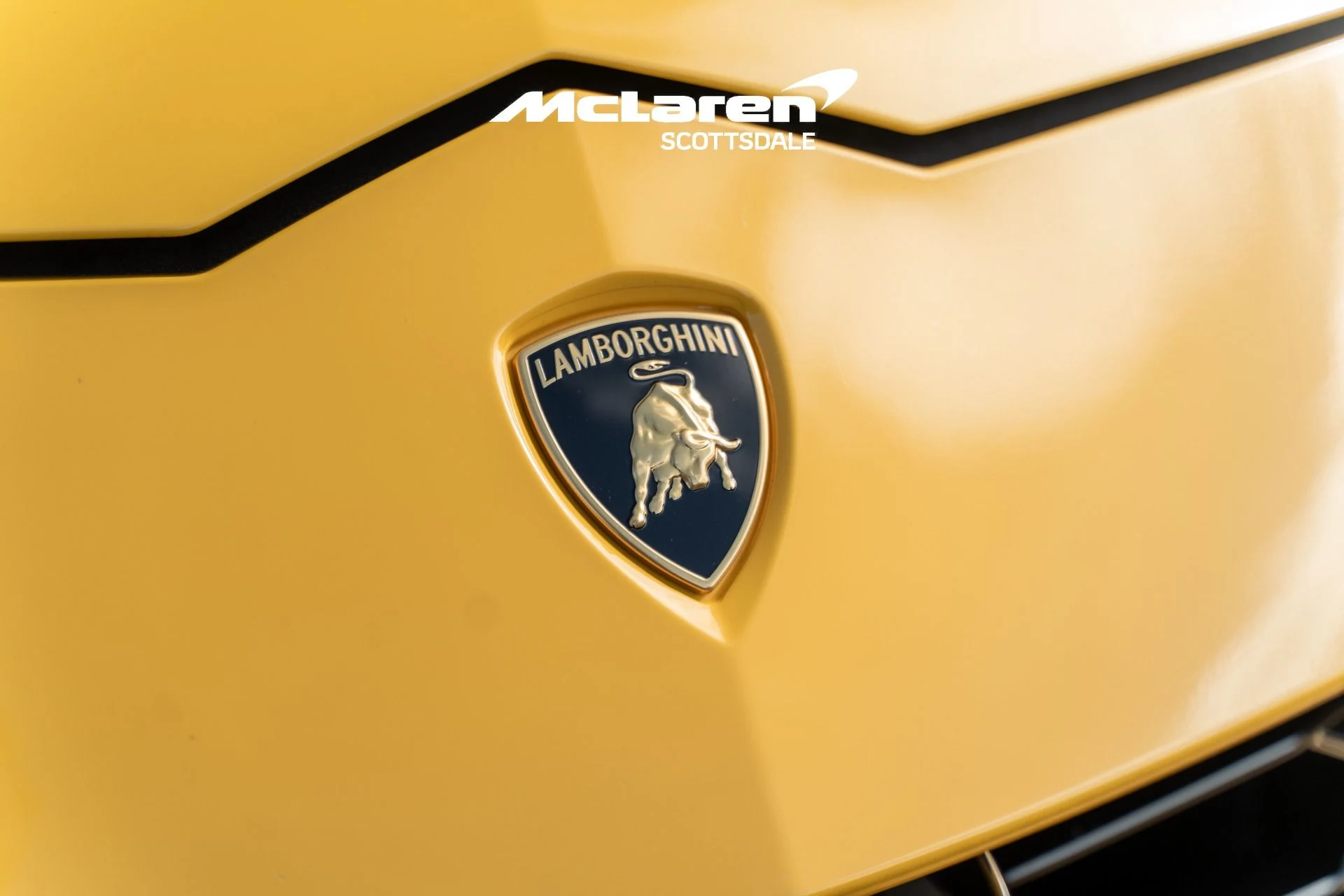 mph022_1380020997_Used_2021_LAMBORGHINI_URUS_1775537131_be9c5bd90a