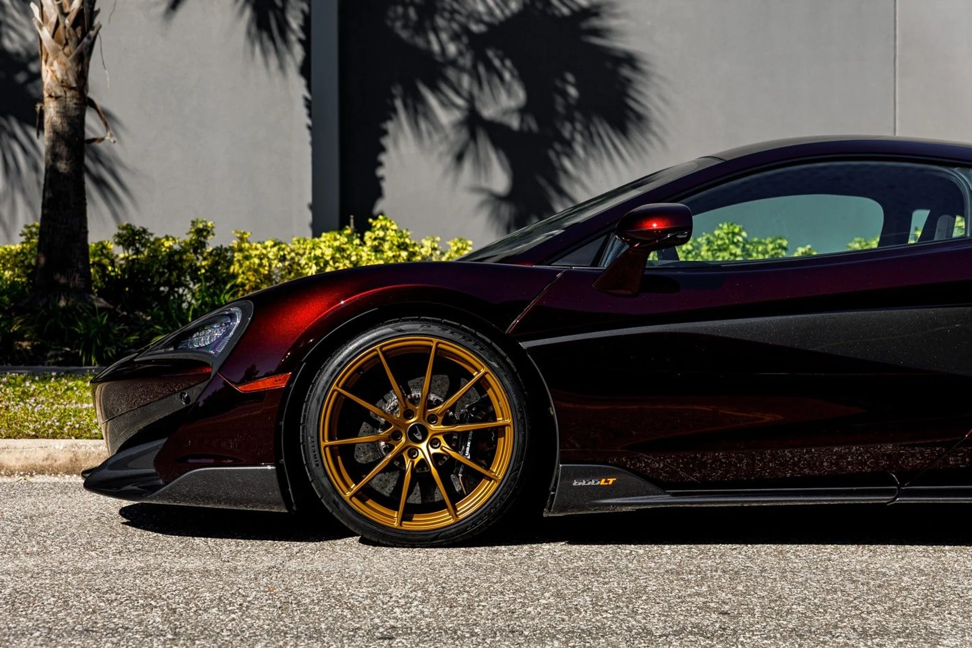 mph022_1661343411_615_p23_l_e4e1e564ab