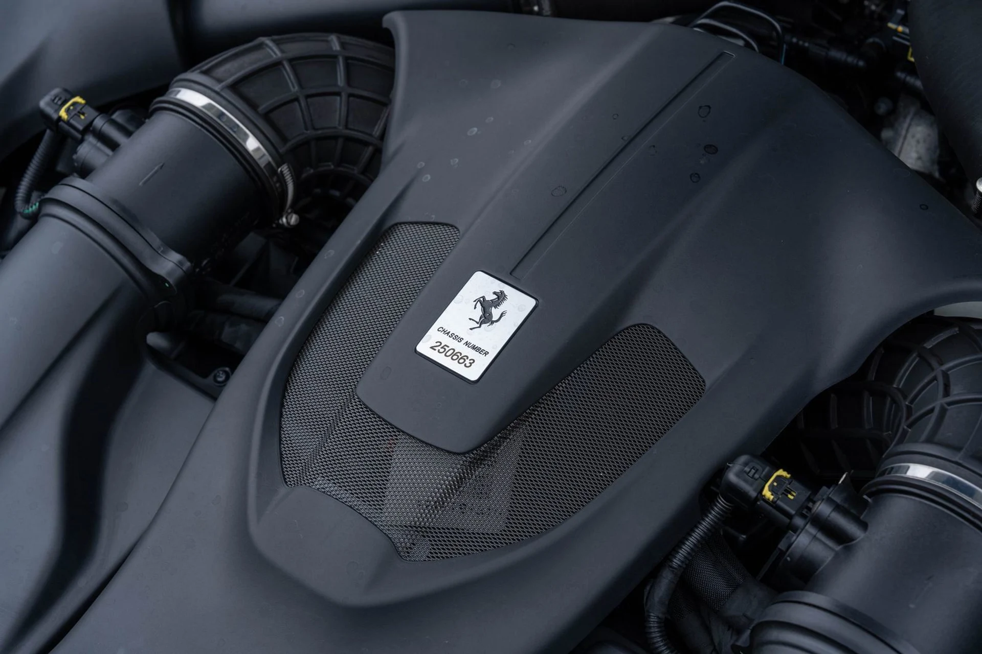 mph022_1731720912_002e5690795846178b5c094167ac5654_31f7a6273c