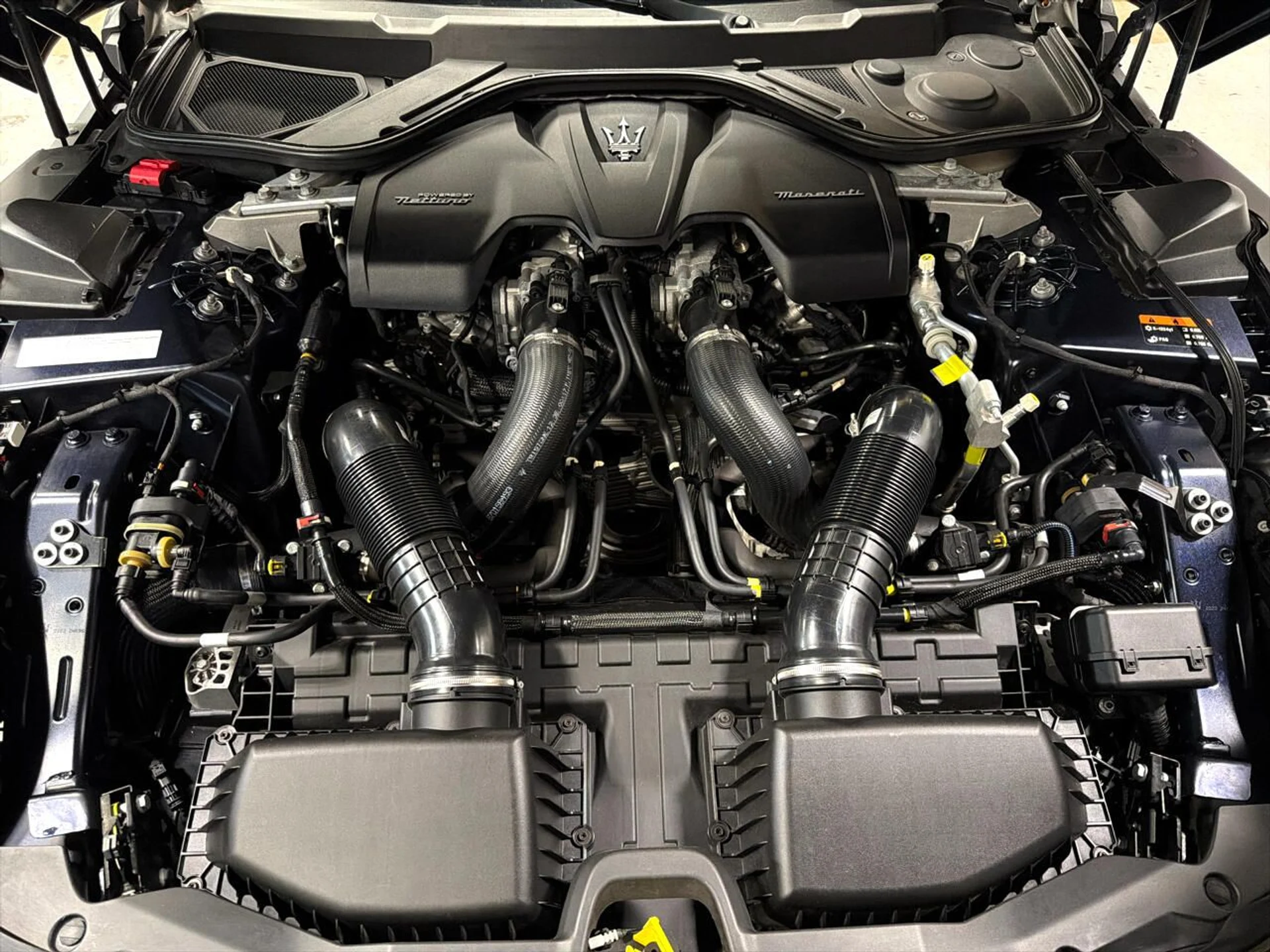 mph022_177456541_639015868613358712_3cc55d8f84